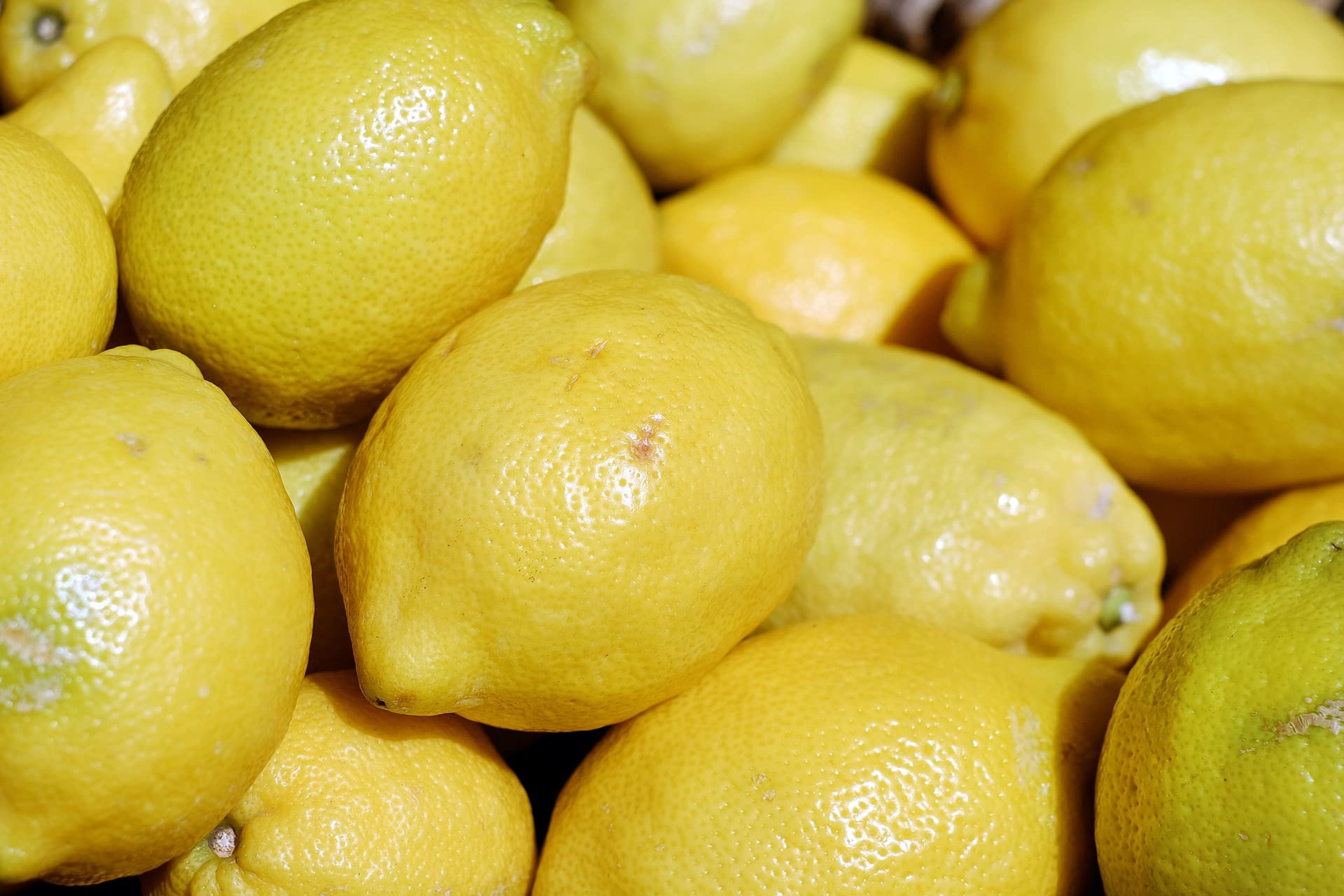 M-Technologies Rare Kagzi Nimboo - Kagji Lemon 1 Healthy Plant (B09DD6V8H6) Amazon Price History, Amazon Price Tracker