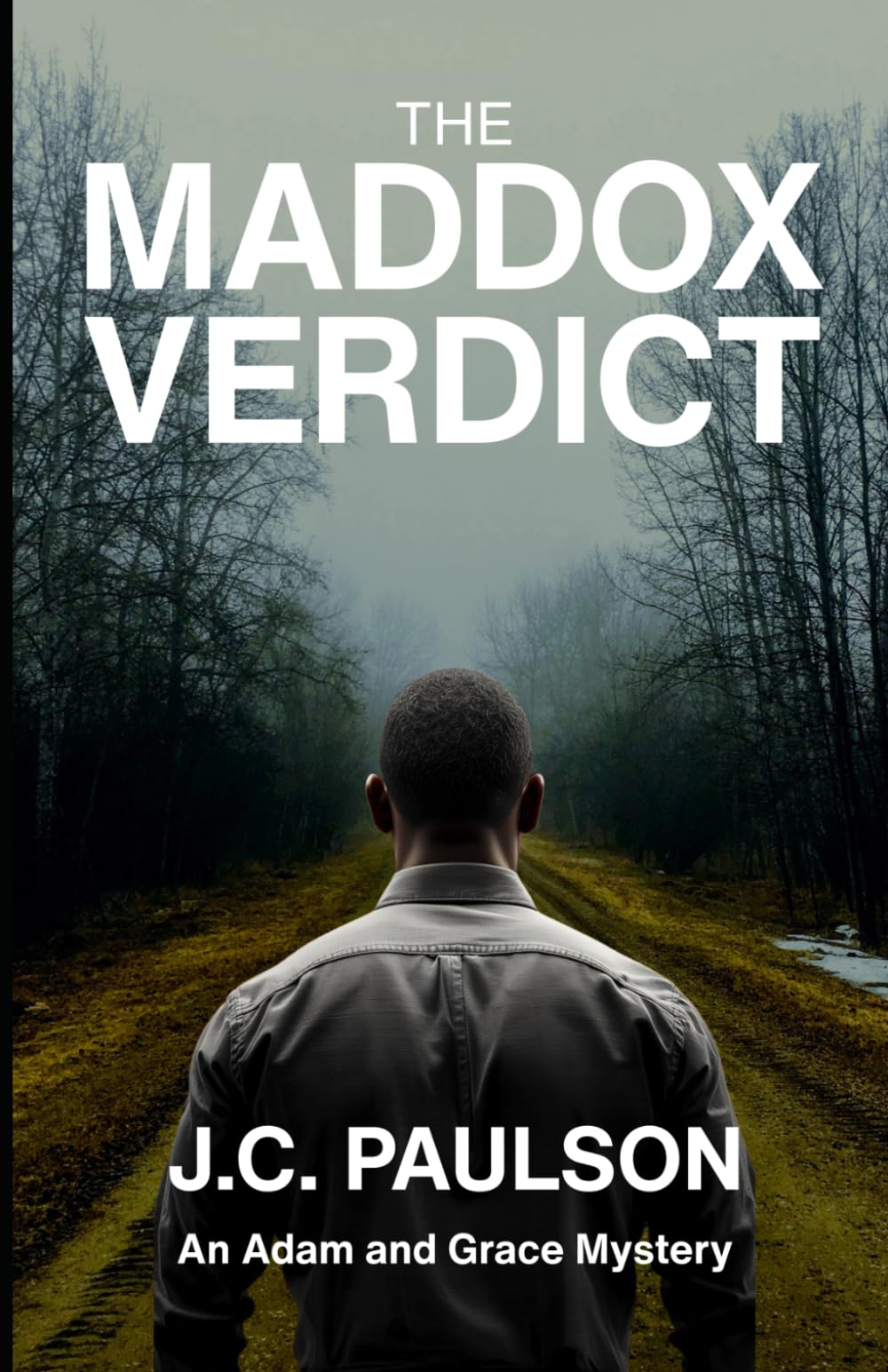 The Maddox Verdict: An Adam and Grace Mystery