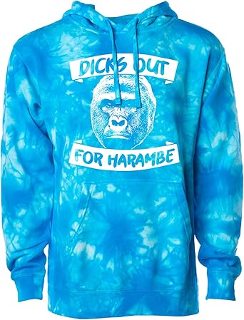 hoodies at dicks