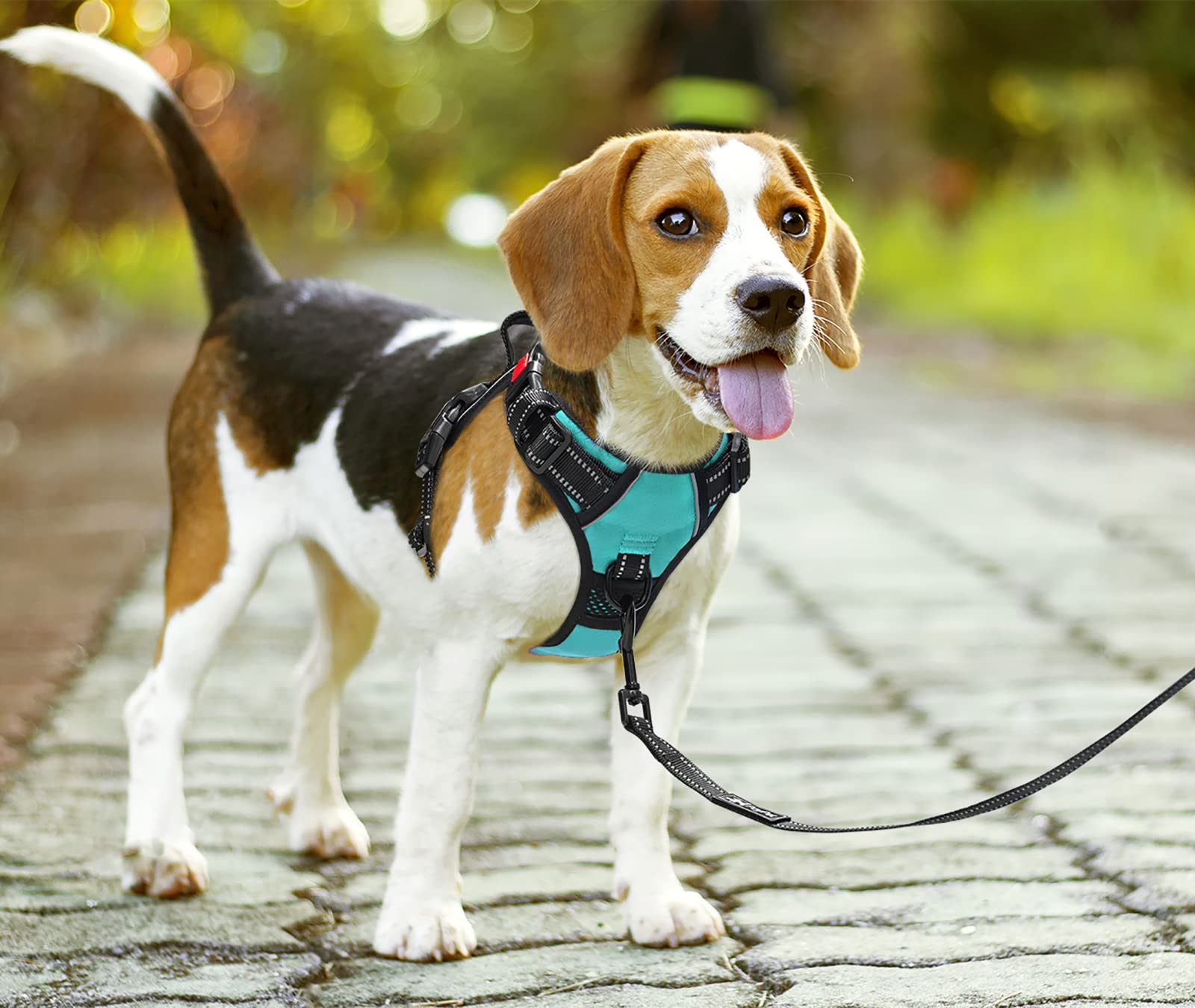 PoyPet No Pull Dog Harness with Neck Release Buckle, Reflective No-Choke Harness with 2 Leash Clip - Image 2