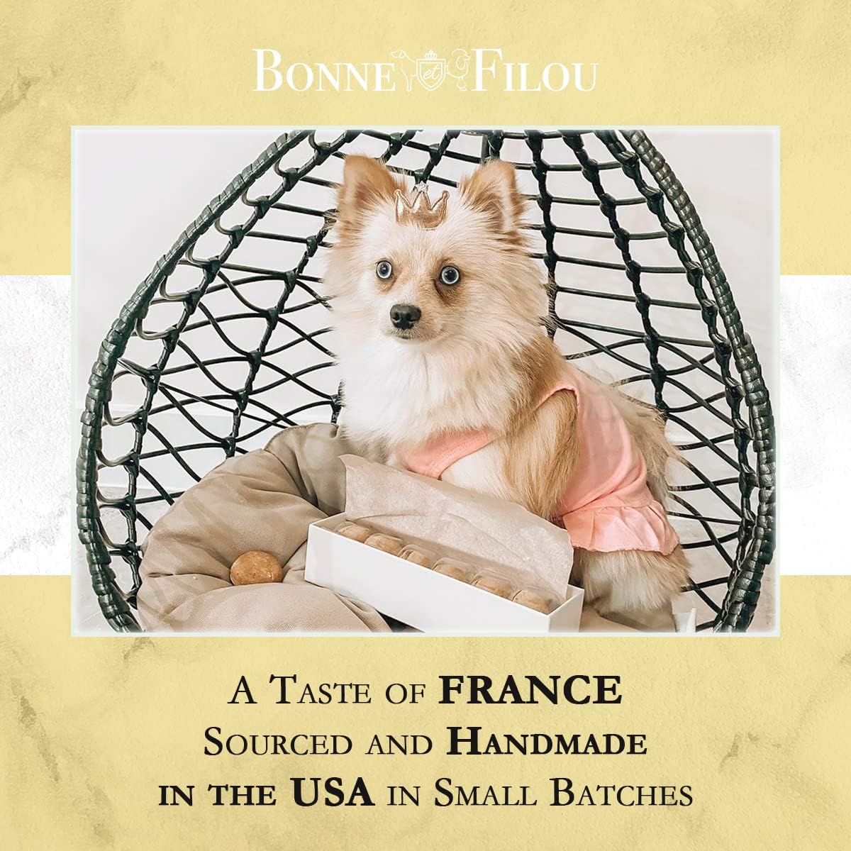 Bonne et Filou Dog Plush Toy Macarons (6 Pack) and Luxury Handmade Gourmet Crème Brulee Dog Macarons Treats (6 Pack)