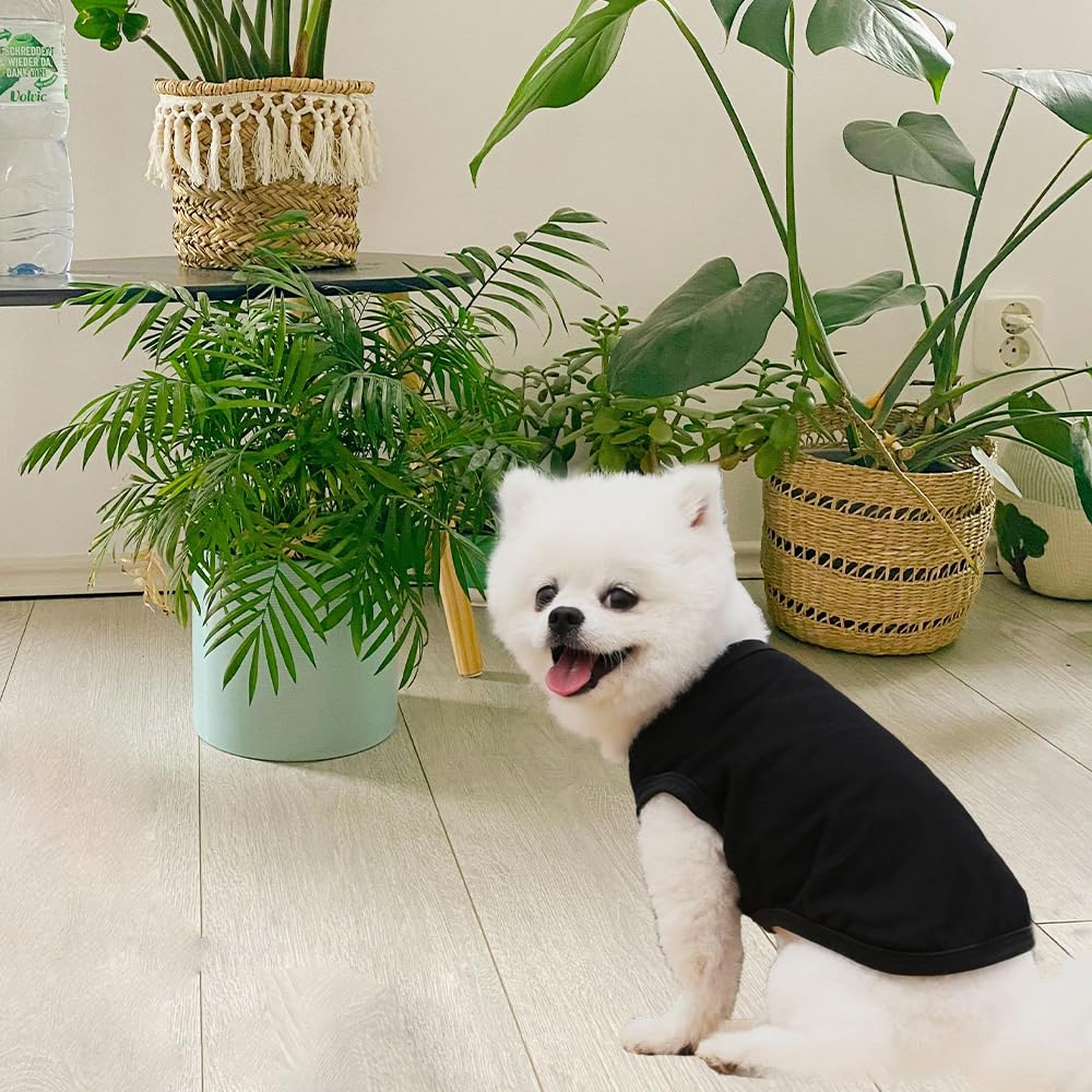 3 Pièces T-Shirt Vêtements d'été pour Chien, D'été T-Shirt en Coton Doux et Respirant sans Manches, pour Chiens et Chats de Petite (Noir, Blanc, Gris) (M)