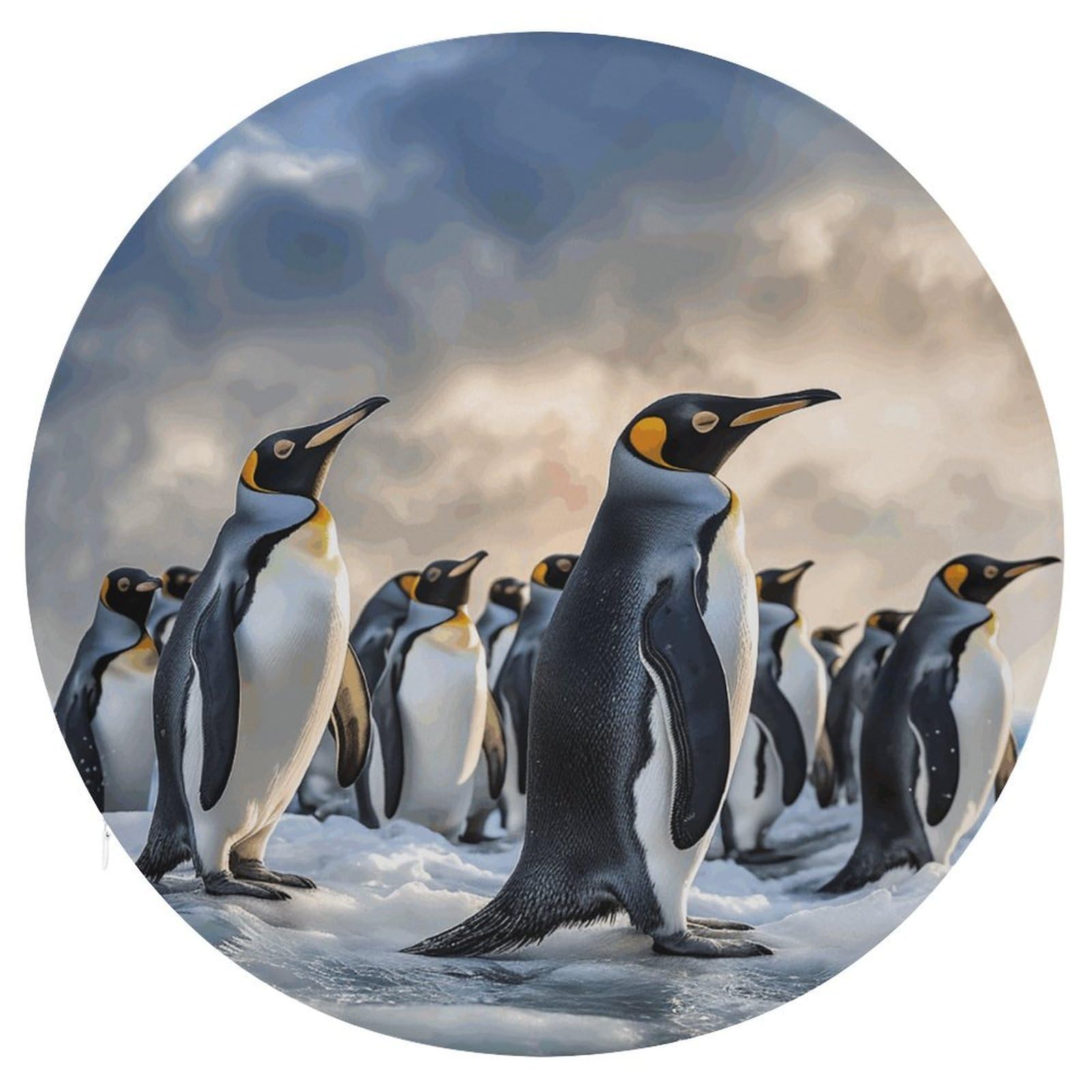 Adfgyerh Style Sea Penguin Cushion Memory Foam Pillow Core，Seat Cushion Detachable Design，Chair Cushions Suitable For All Seasons, And Can Be Used In Offices, Dining Rooms, Homes, And Other Settings.