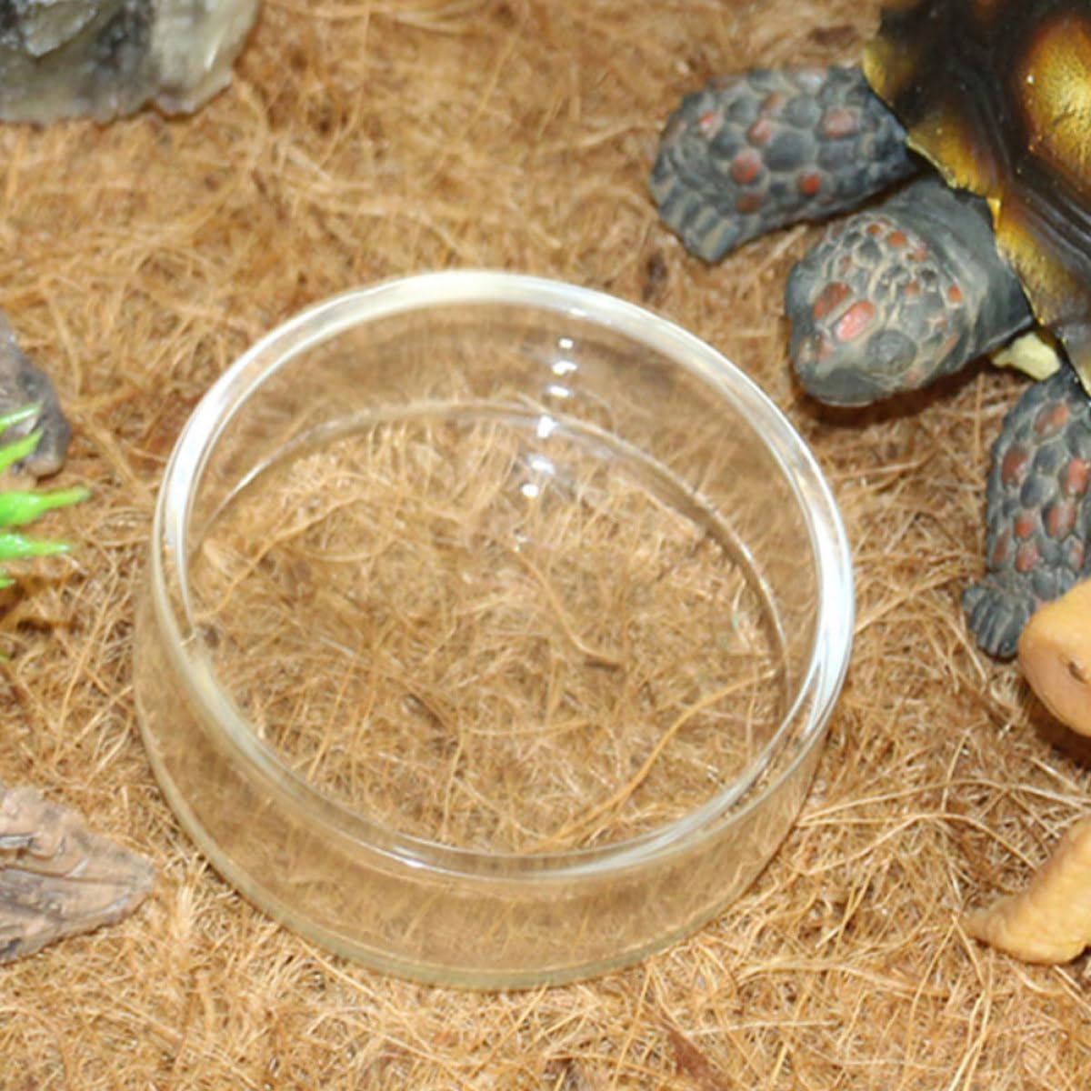 Toyvian 9pcs Glass Terrarium Food Bowls and Reptile Water Dishes for Tortoise Lizard Snake Scorpion Turtle Feeding in Habitat