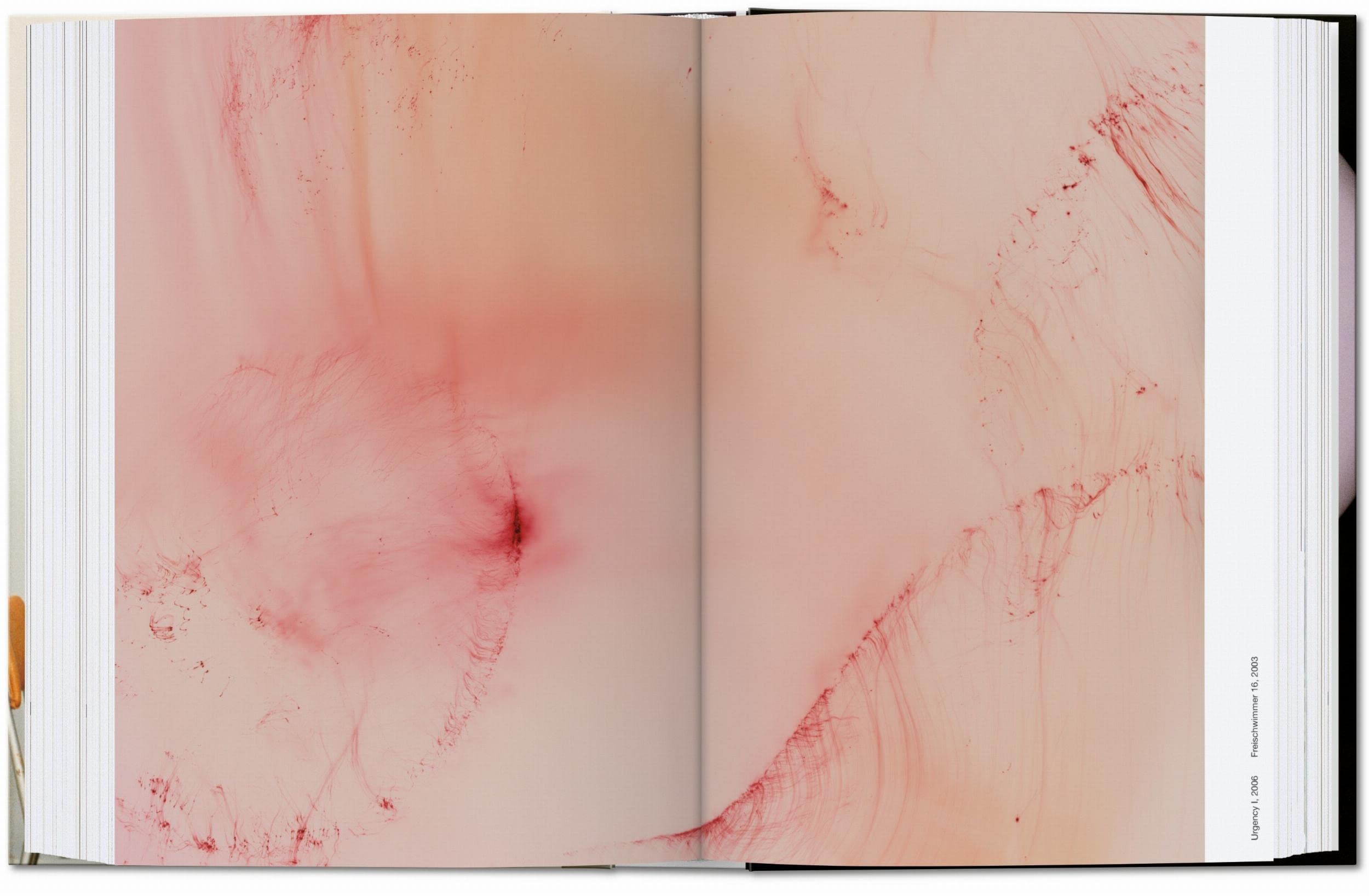 Wolfgang Tillmans. Four Books – 40Th Anniversary Edition: four books. 45th Ed. (45th Edition)