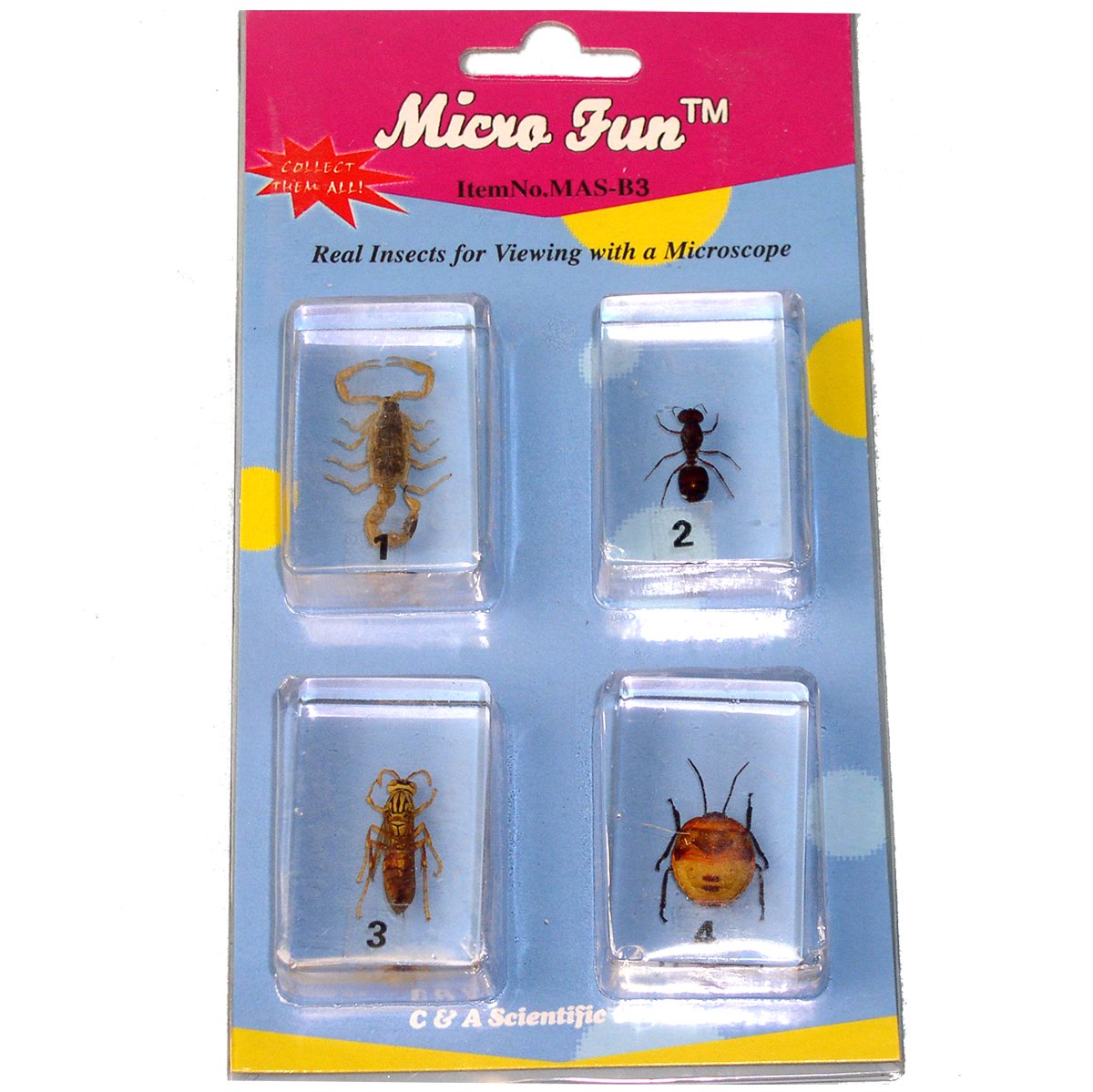 C & A Scientific 4 Piece Bug Set - Educational Set - Plastic - Multiple Colors - Microscope Compatible