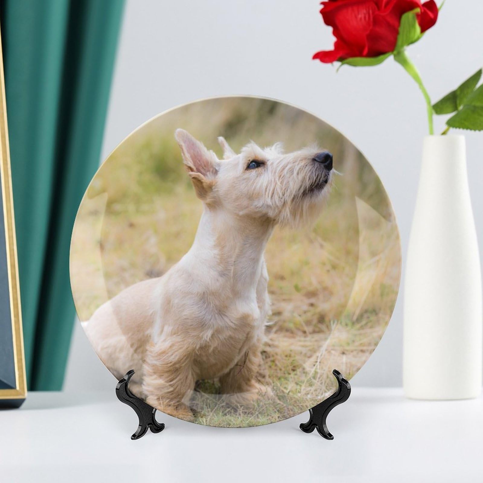Amazon.com: Scottish Terrier Canine Dog Decorative Plate for Wall