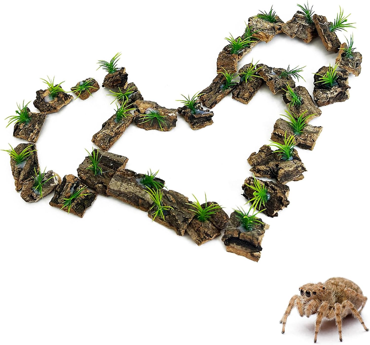 Jumping Spider Enclosure Accessories 15 Pcs Small Cork Bark for Tarantula Hide Spider Terrarium Decorations Reptiles Habitat Decor (Bark with Small Grasses)