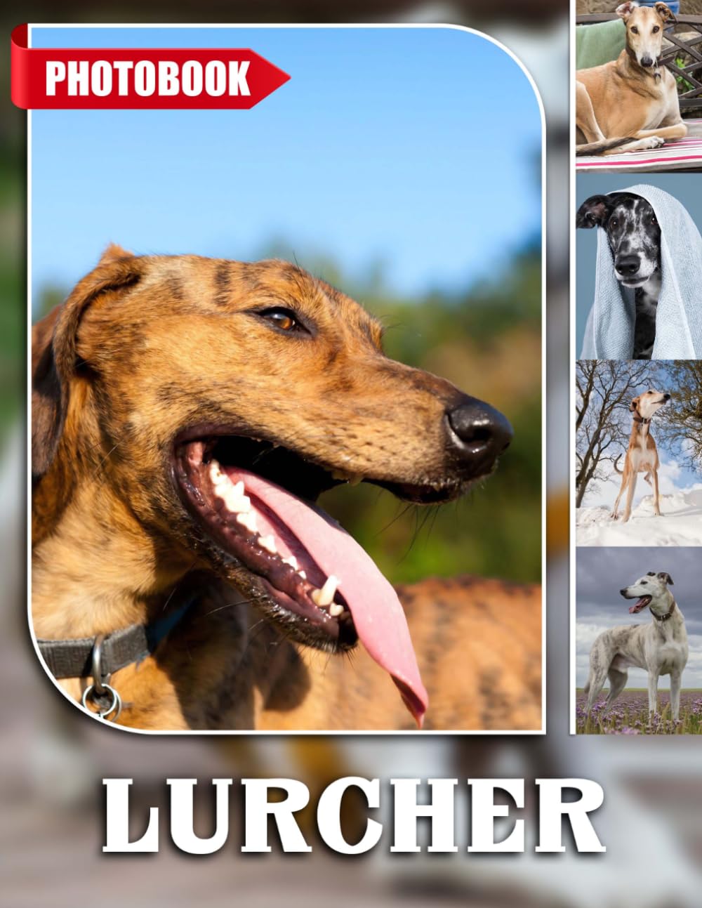 Lurcher Photo Book: Stylish Sighthound Photography Showcasing Sleek Running Canines And Adventurous Outdoor Moments | Ideal Gift For Dog Enthusiasts