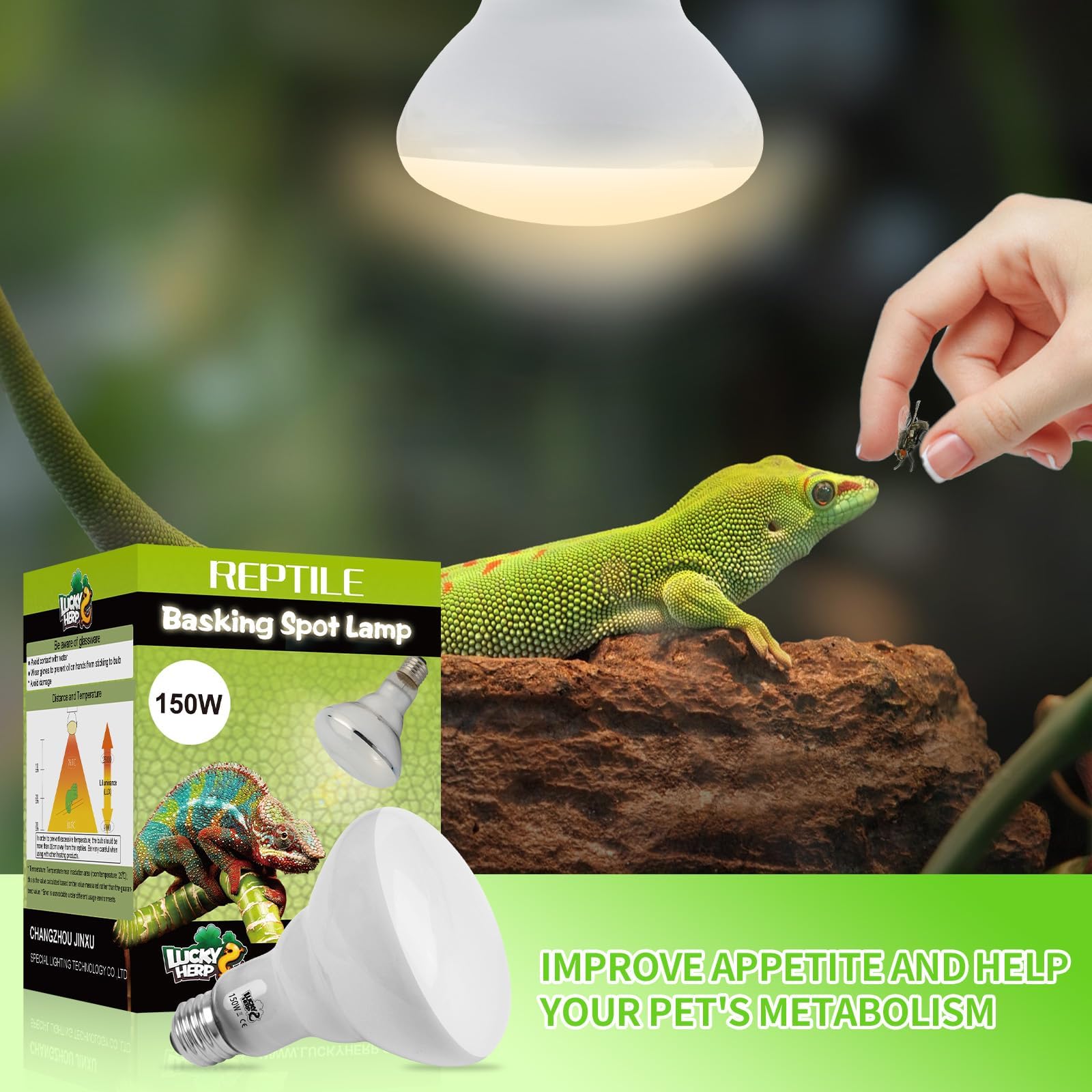 LUCKY HERP 150W Reptile Heat Lamp Bulb, Basking Spot Heat Lamp for Reptiles,Vivarium Light for Amphibian Chicks, Dog Heating Use - Image 3