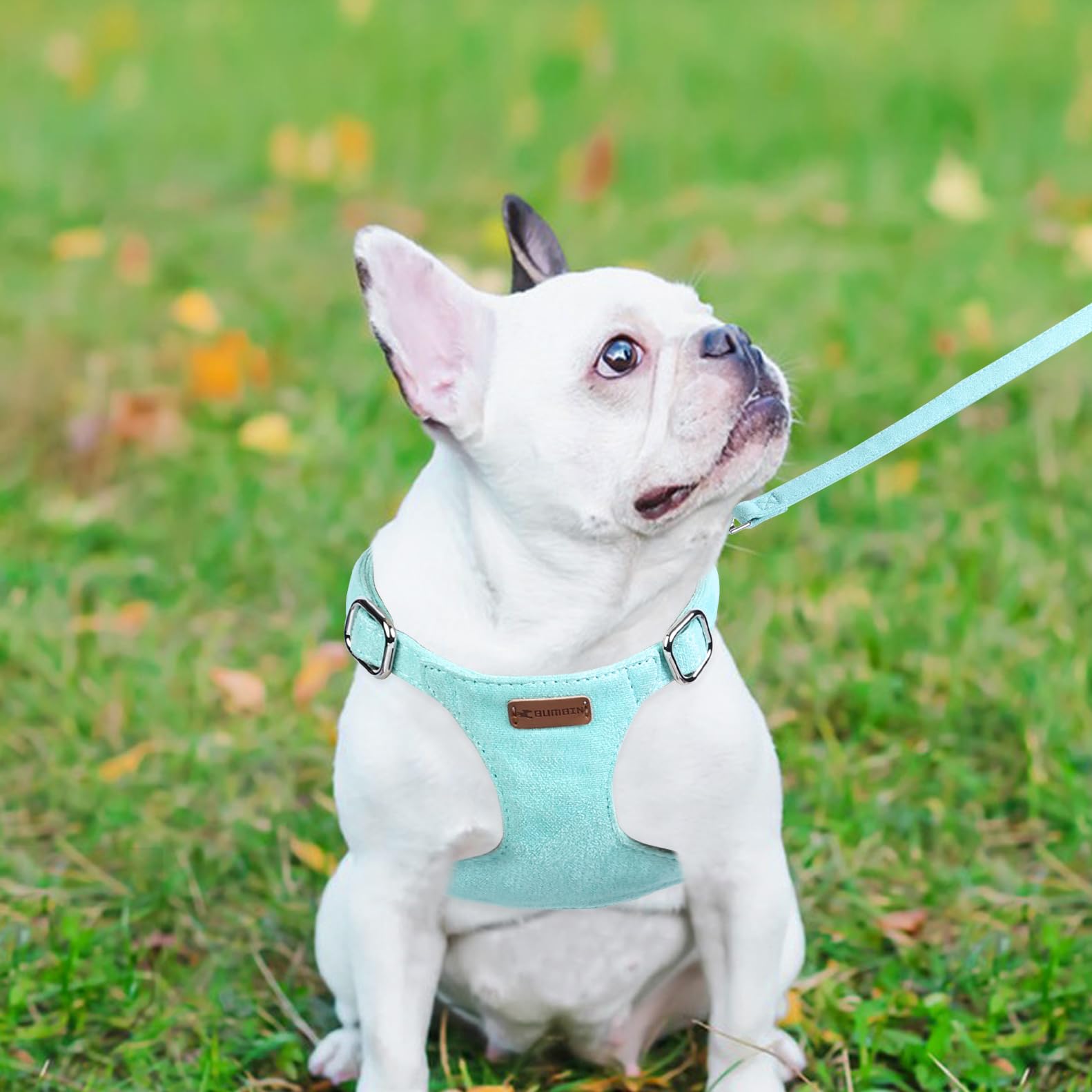 NEIGHBORHOOD DOG HARNESS グレー Amazon.com : Doggles V Mesh Dog Harness, Gray/Black, Medium