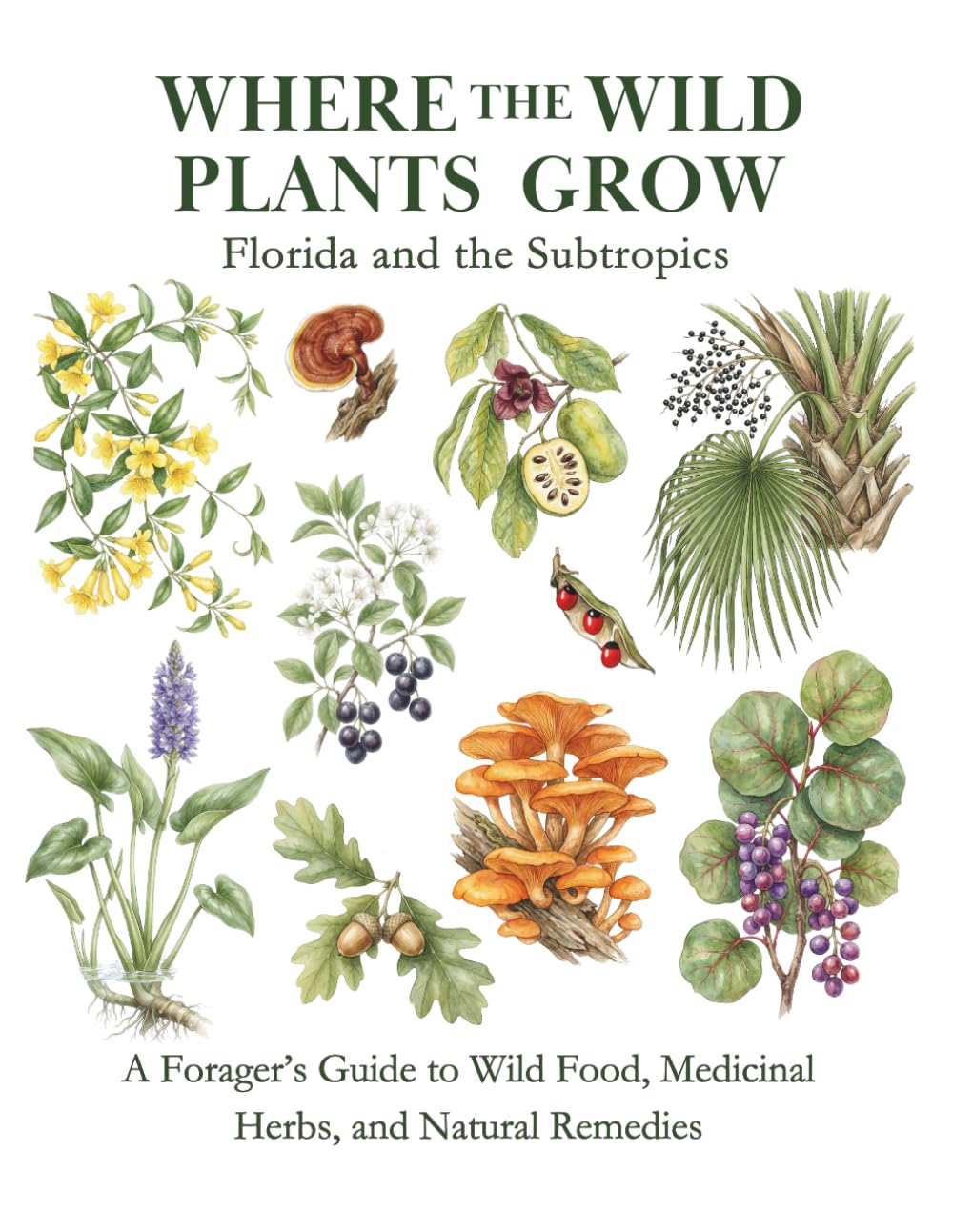 Florida and the Subtropics: A Forager’s Guide to Wild Food, Medicinal Herbs, and Natural Remedies (Where the Wild Plants Grow: Illustrated Foraging Guides)