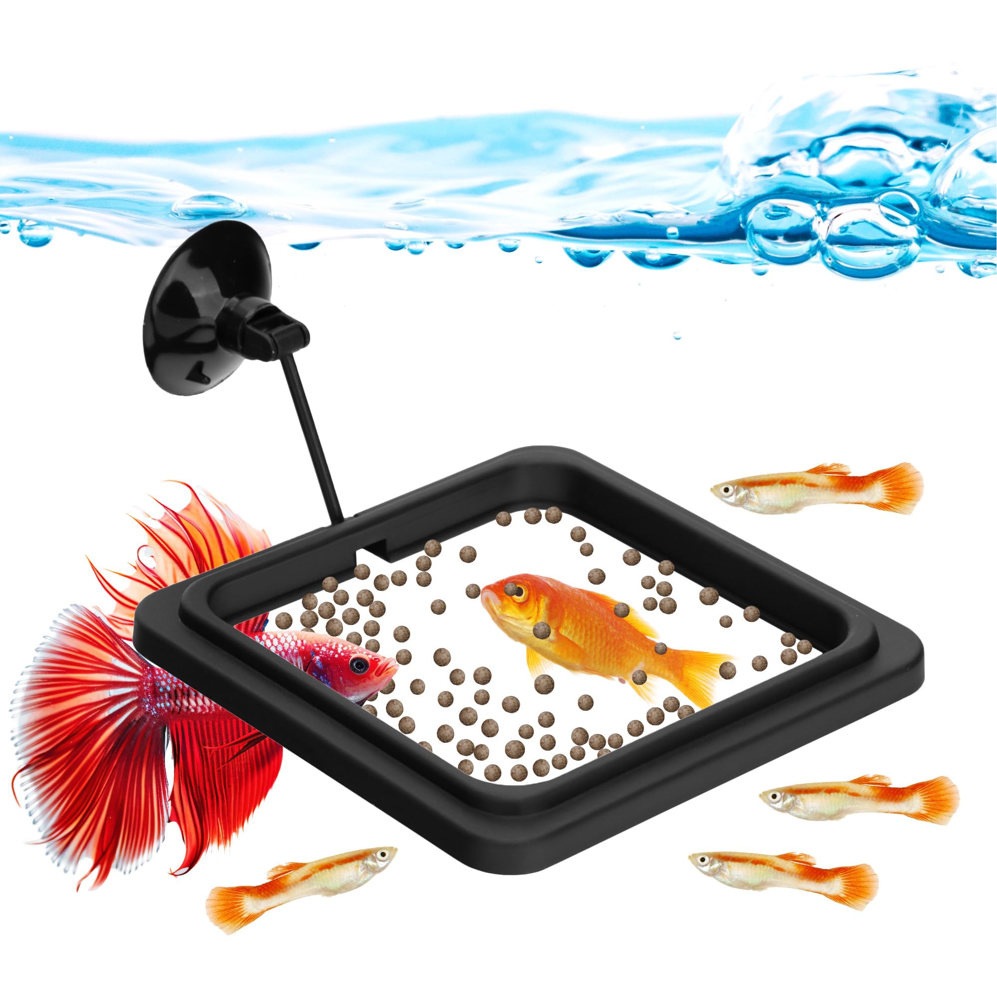 Fish Feeding Ring Aquarium Square Floating Food Feeder Circle with Strong Suction Cup Fish Tank Feeding Ring for Betta Goldfish Guppy