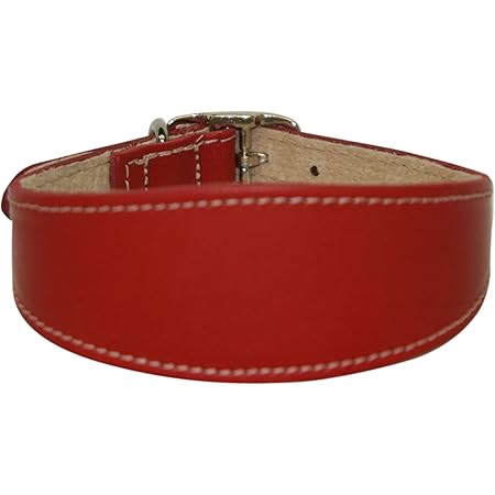 lurcher collars amazon