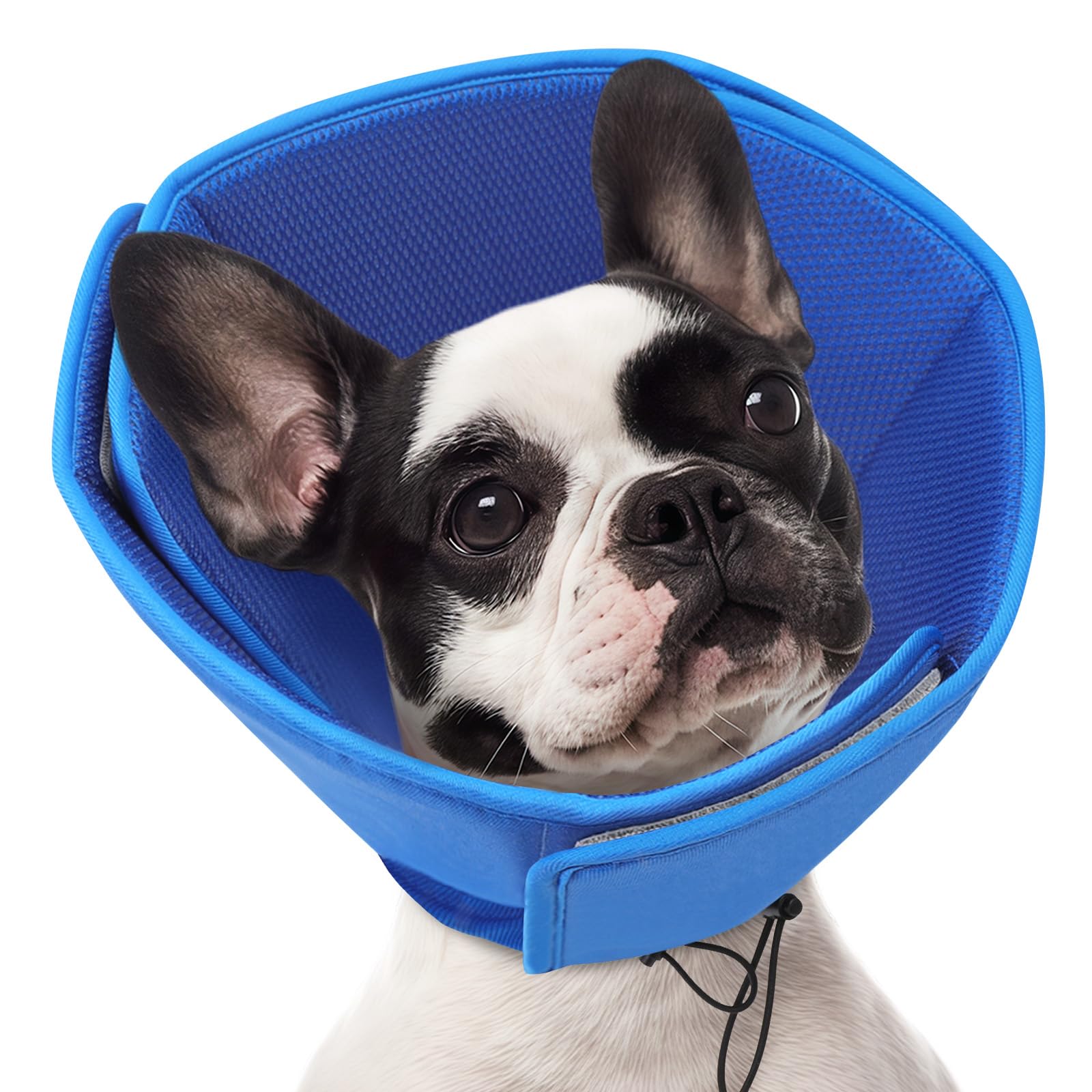 Cône pour chien de taille moyenne doux et respirant pour soulager la guérison