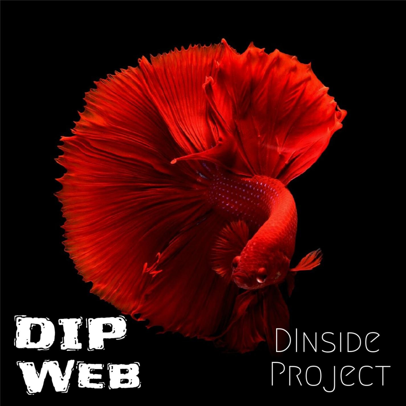 Dinside Project