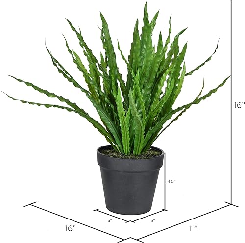 Miniatura 2 de Vickerman Everyday - Helecho nido de pájaros en maceta de 16 pulgadas, maceta de plástico negro, decoración de planta de poliéster duradera en