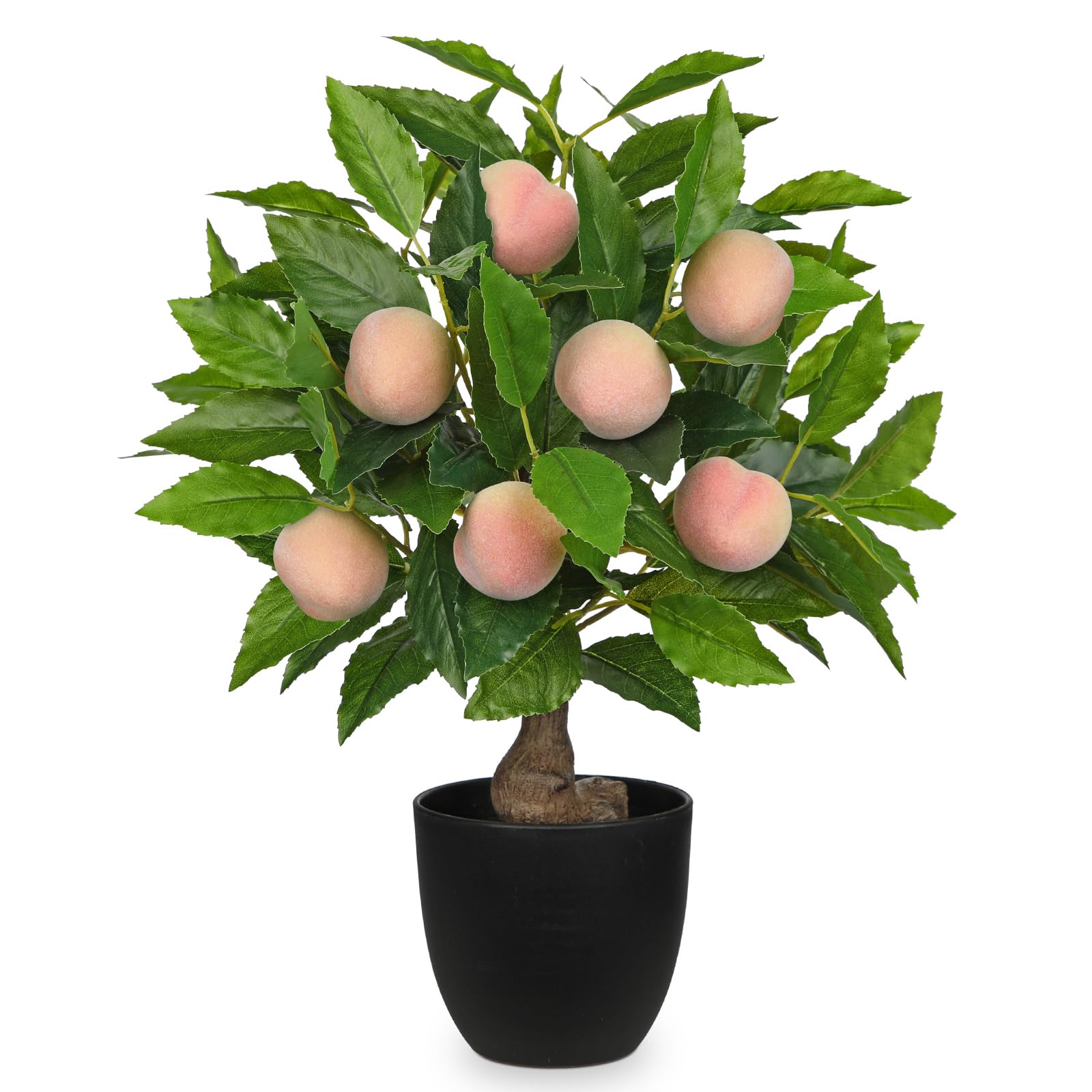 artificial potted plants for indoors Artificial Cactus Houseplant - Medium (25" tall) Black Planter