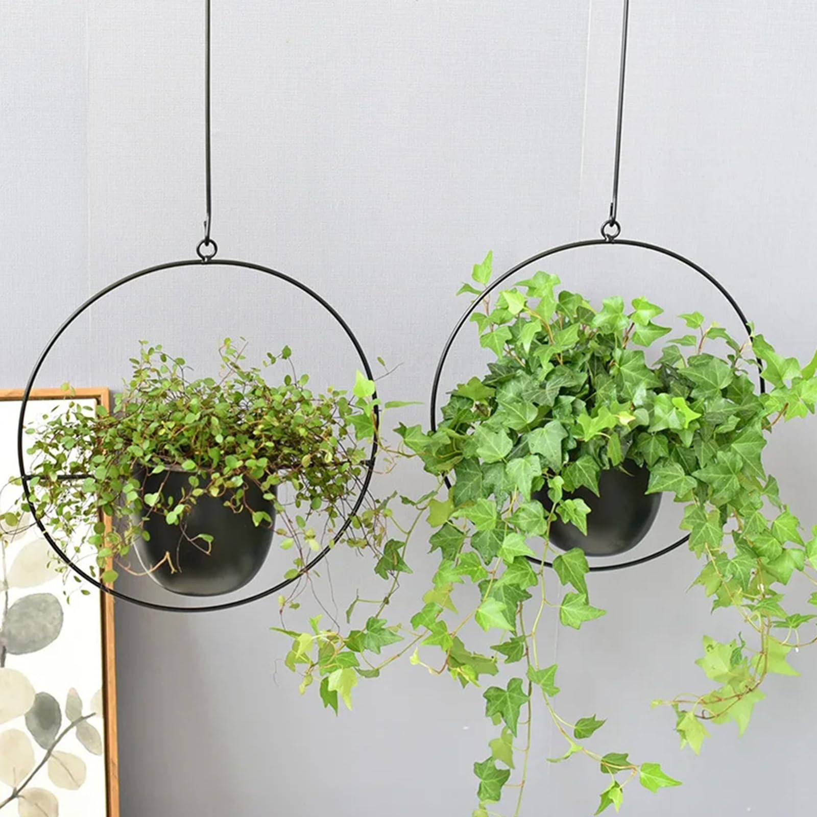 maxant Blumenampel, Hängende Pflanzgefäße, 2 Stück Metall Hängend Blumenampel, Schwarz Decke Hängende Blumentopf, Pflanzen Blumentopf Hängende, für Innen- und Außenbereich, Deko für Zuhause, Büro