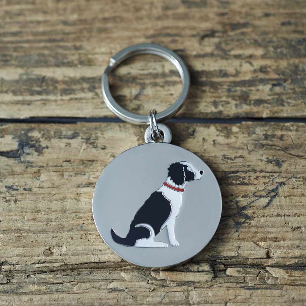 Médaille pour chien épagneul springer noir et blanc pour balades en forêt
