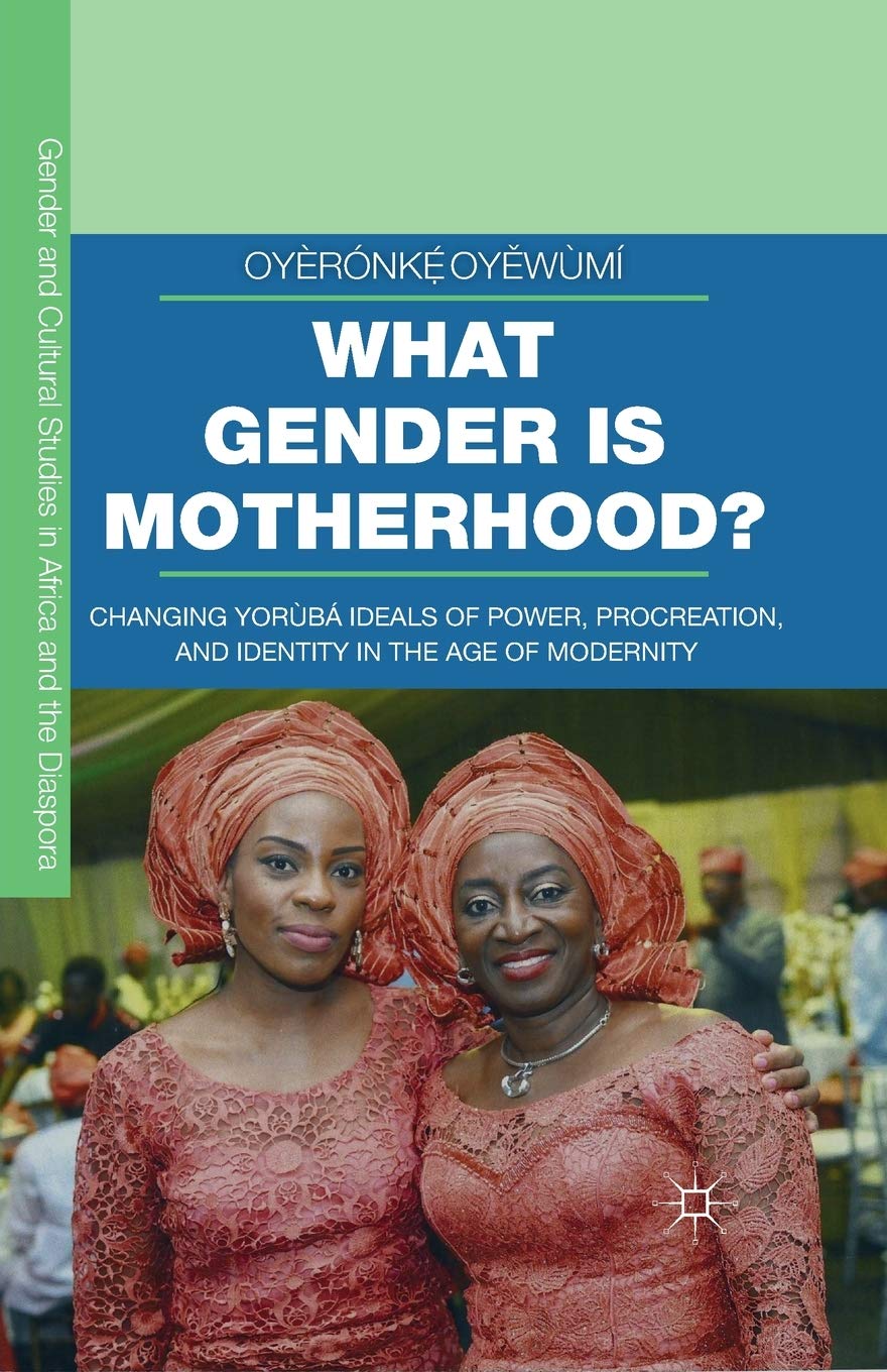 What Gender is Motherhood?: Changing Yorùbá Ideals of Power, Procreation, and Identity in the Age of Modernity (Gender and Cultural Studies in Africa and the Diaspora)