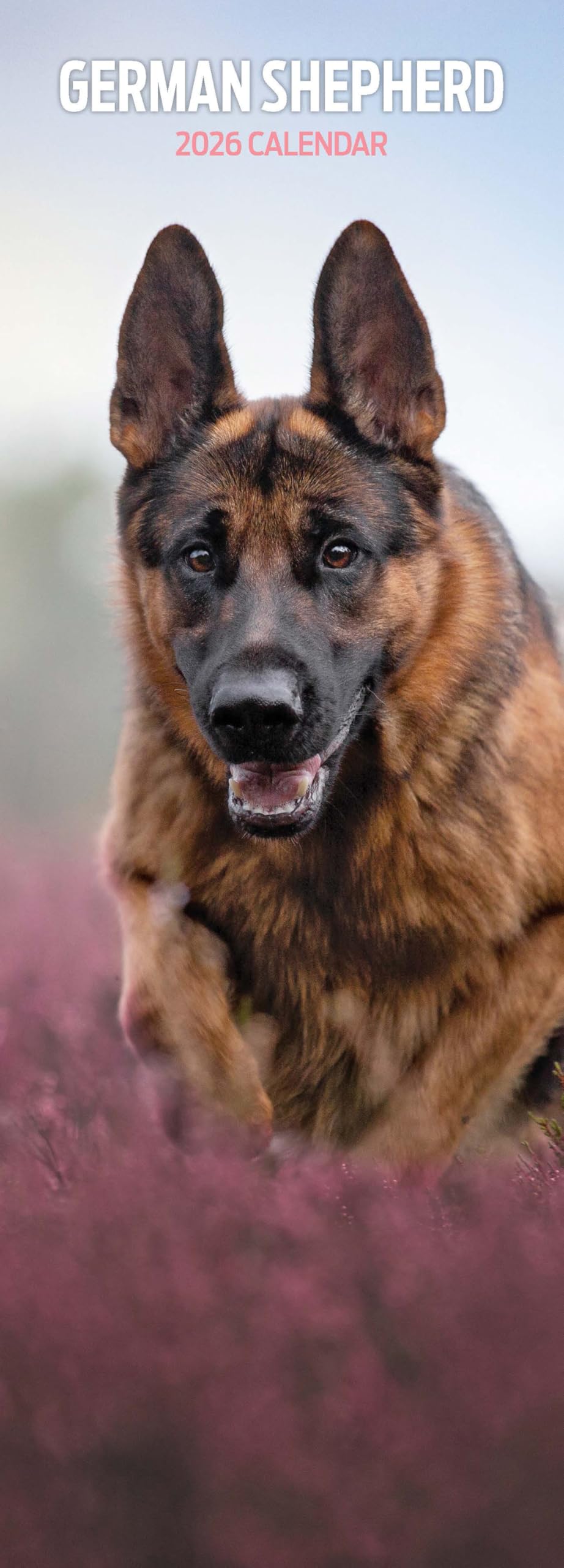 German Shepherd 2026 Slim Calendar