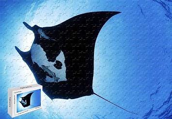 1000 قطعة أحجية الصور المقطوعة - مانتا راي سي كريور مواد باسوود 29.5 &times; 19.6 بوصة