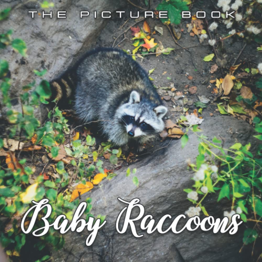 Baby Raccoons Picture Book: An Amazing Collection With Compelling Photos Of Baby Raccoons To Give On Thanks Giving, Christmas, New Year, And So On