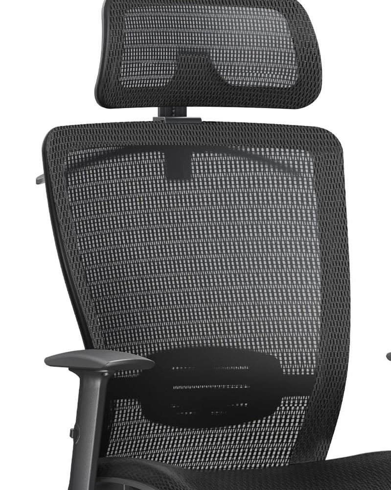 Tenshinさん専用 FLEXISPOT Amazon.com: FLEXISPOT Ergonomic Office Chair High Back Mesh Swivel