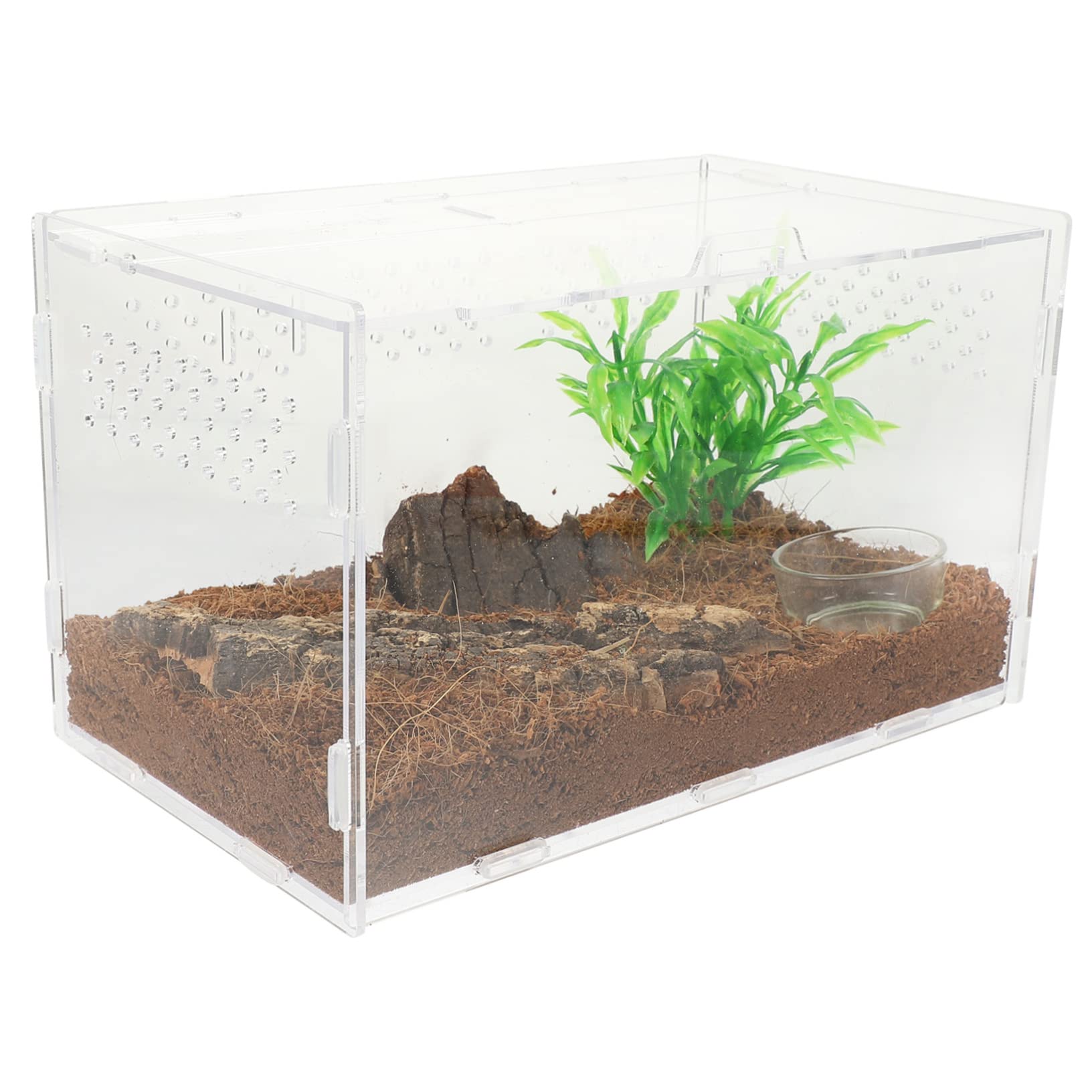 Terrarium pour Gecko Léopard et Boîte Élevage Reptiles