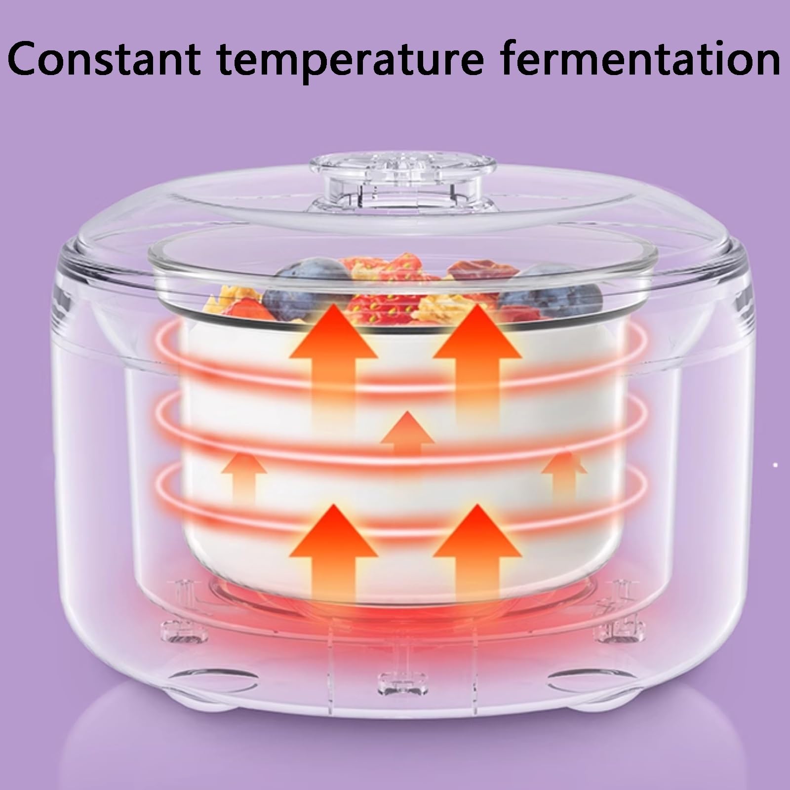 Macchina per La Preparazione di Yogurt Probiotico, Yogurtiera, Capacità Sufficiente, Controllo Intelligente Della Temperatura, Adatta All'uso Familiare