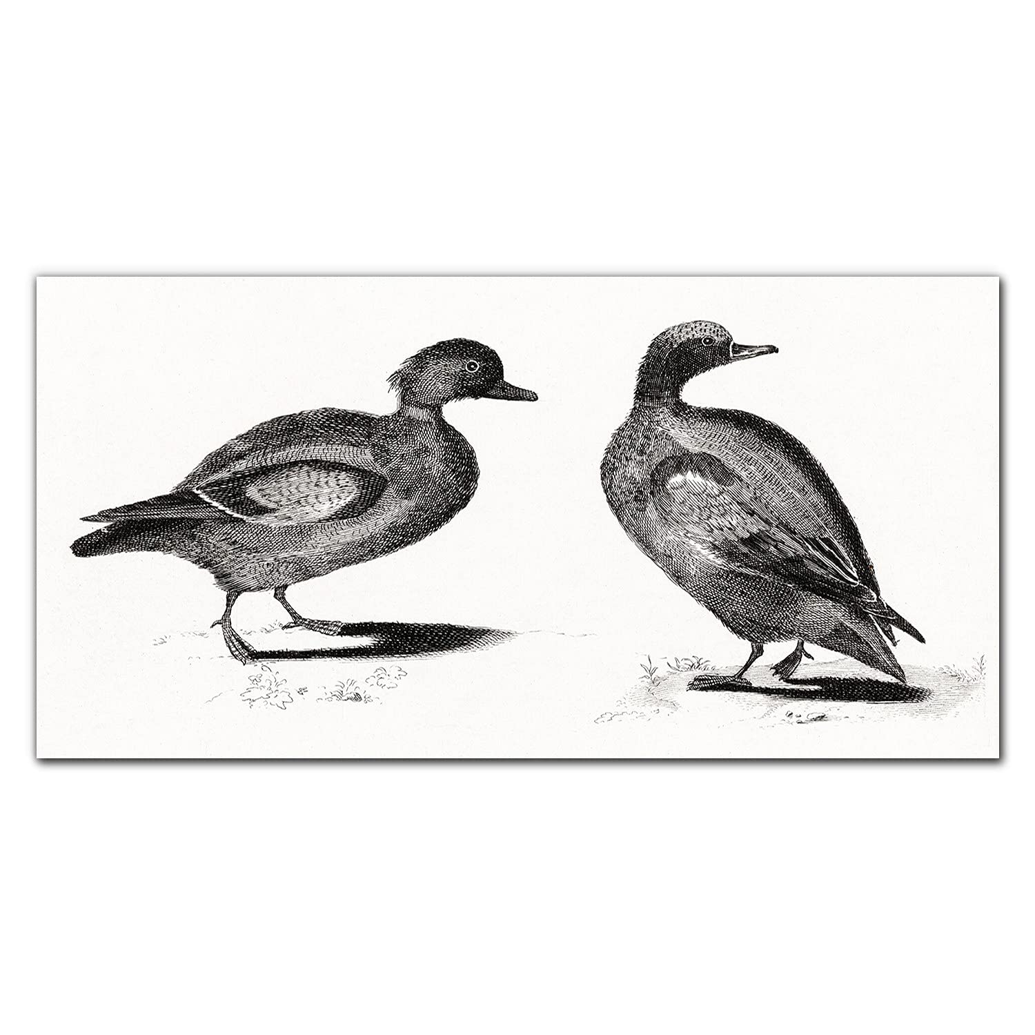 Dosseret en verre trempé 140x70cm habillage mural premium pour cuisine design