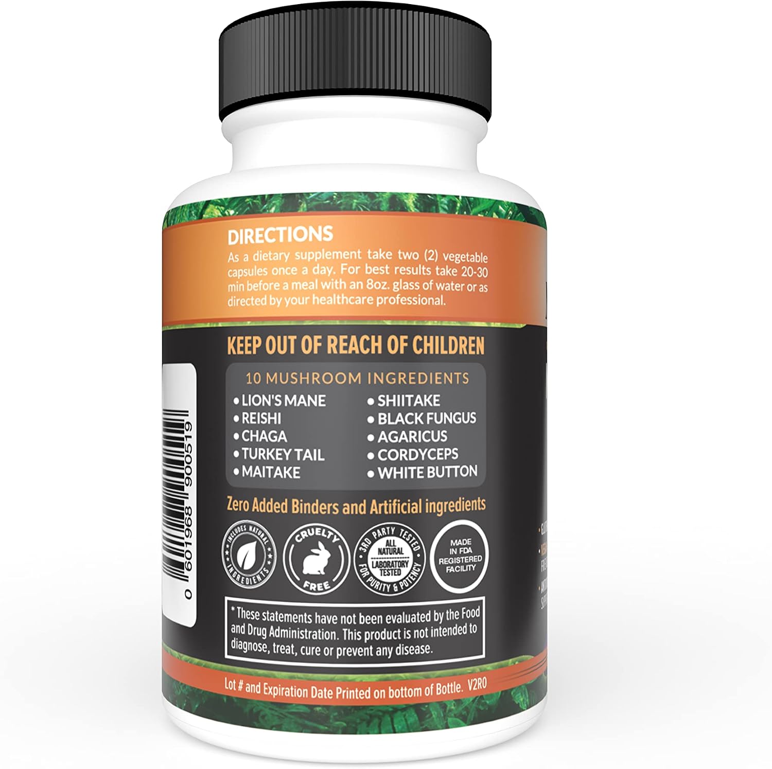 Complément Nootropique Brain Boost - Lions Mane, Reishi, Chaga, Vitamines B