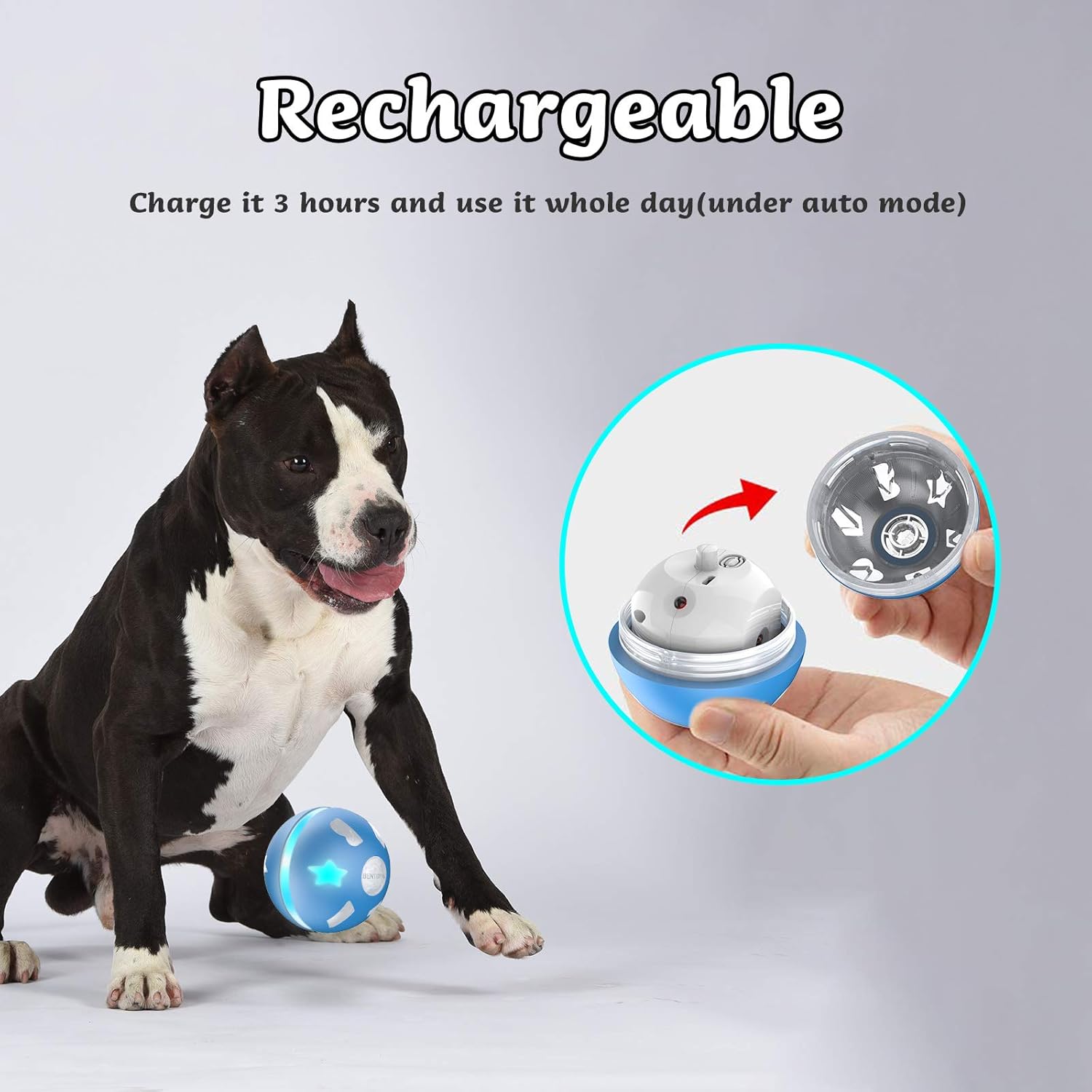 Pet Supplies : BENTOPAL Interactive Dog Toy Wicked Ball for Indoor Cats/Dogs with Motion Activated/USB Rechargeable : 