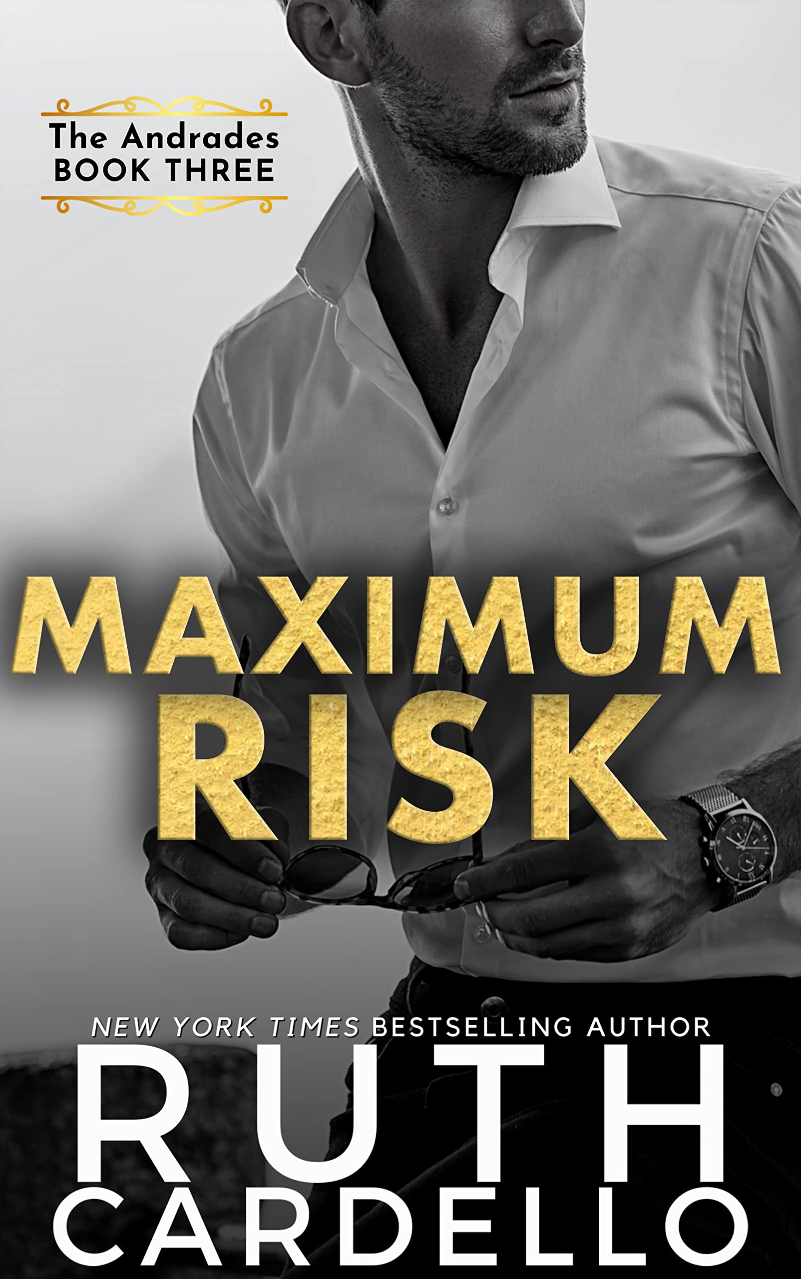 Maximum Risk (The Andrades, Book 3)