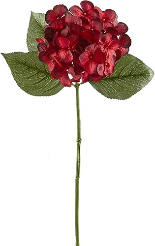 Ashland Michaels Hydrangea Stem