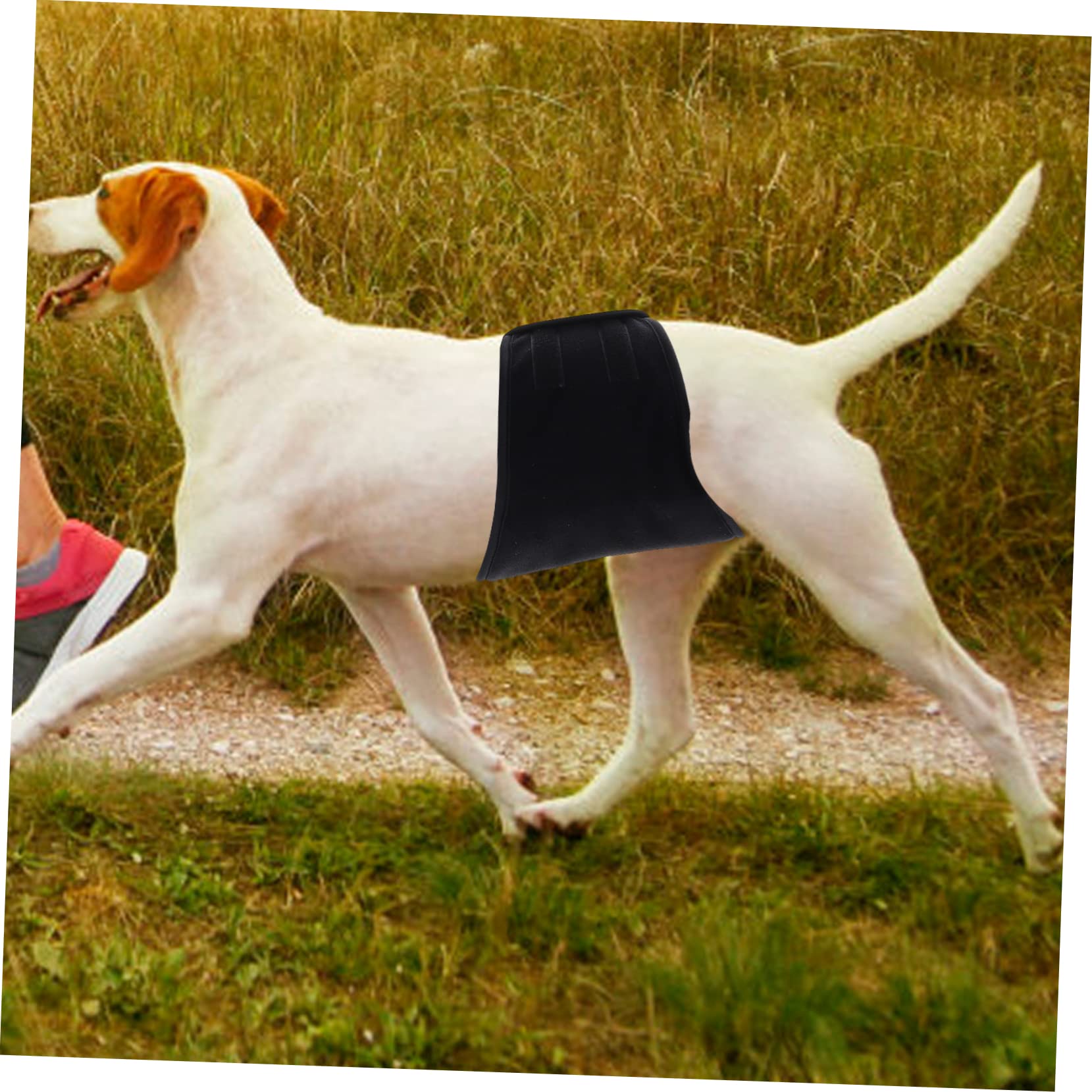 Abaodam Washable Male Dog Diaper Reusable Pet Belly Band Comfortable Secure Fit for Untrained Puppies Double Sided Breathable Absorbent Design for Long Term Wear