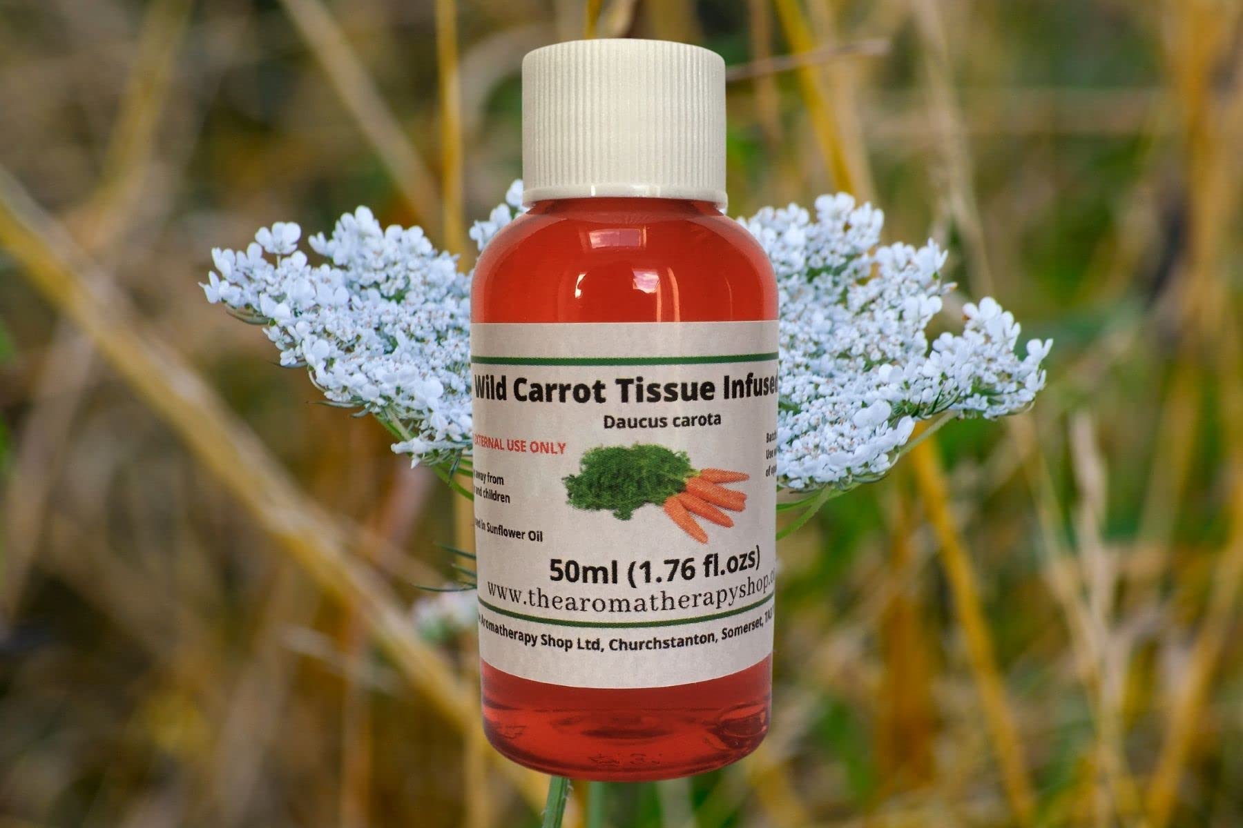 Wild Carrot Tissue Oil 50ml (Infused)