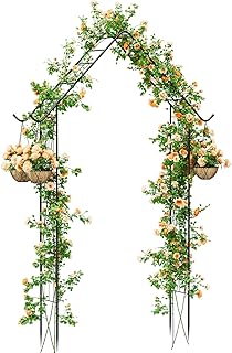 10 Backyard Dog Run Ideas for Safe and Active Pets 15 Garden Arch Arbor Trellis for Climbing Plants Outdoor 8.5Ft Metal Arch T...
