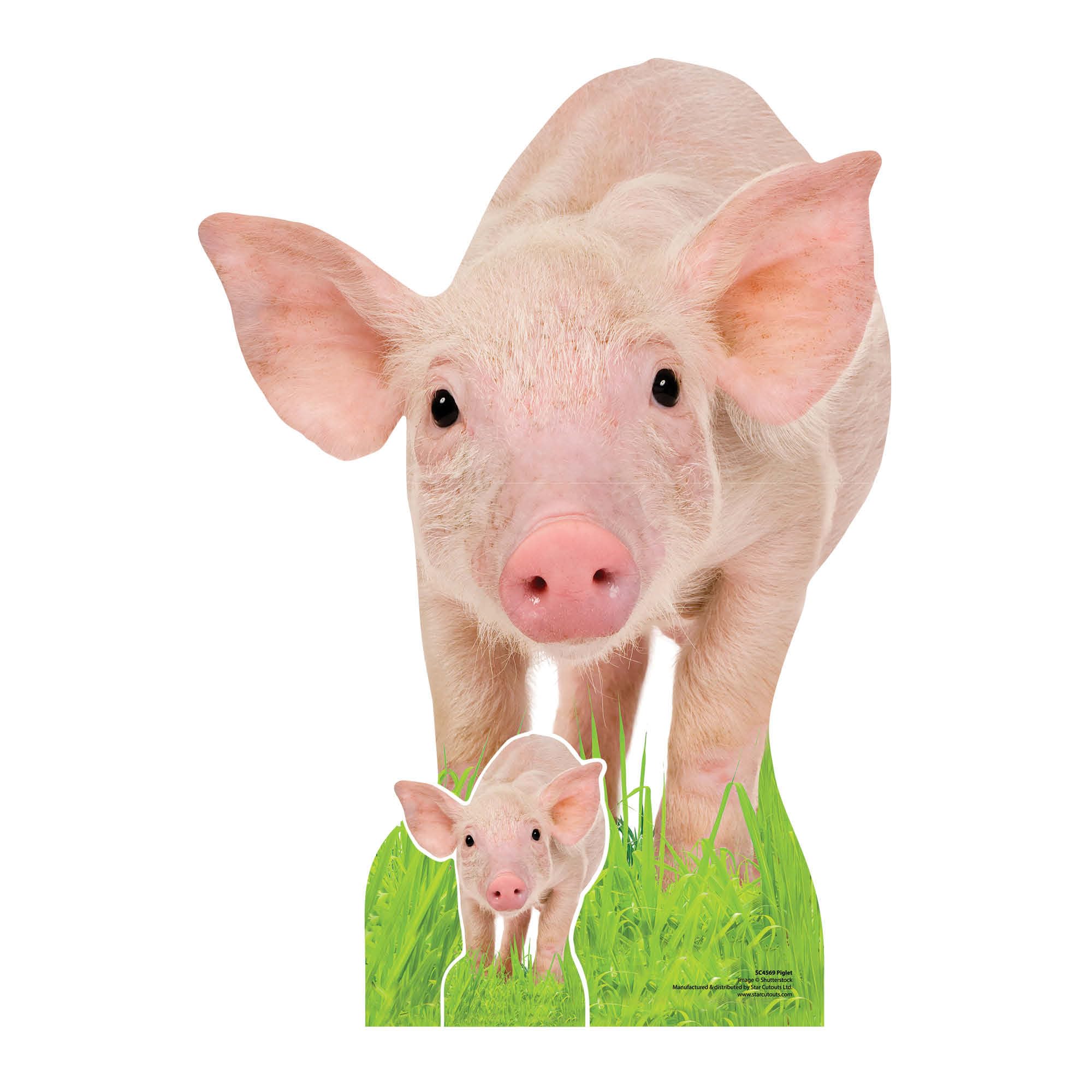 Piglet Animal Cardboard Cutout with Free Mini Standee - Farmyard Cattle Cute