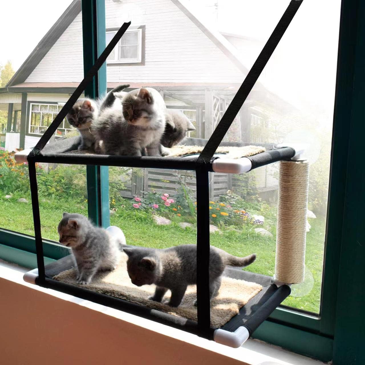 Cat Window Perch, Cat Hammock Window, Free Fleece Blanket Extra Large Sturdy Cat Bed Cat Resting Seat Space Saving for Indoor : Pet Supplies