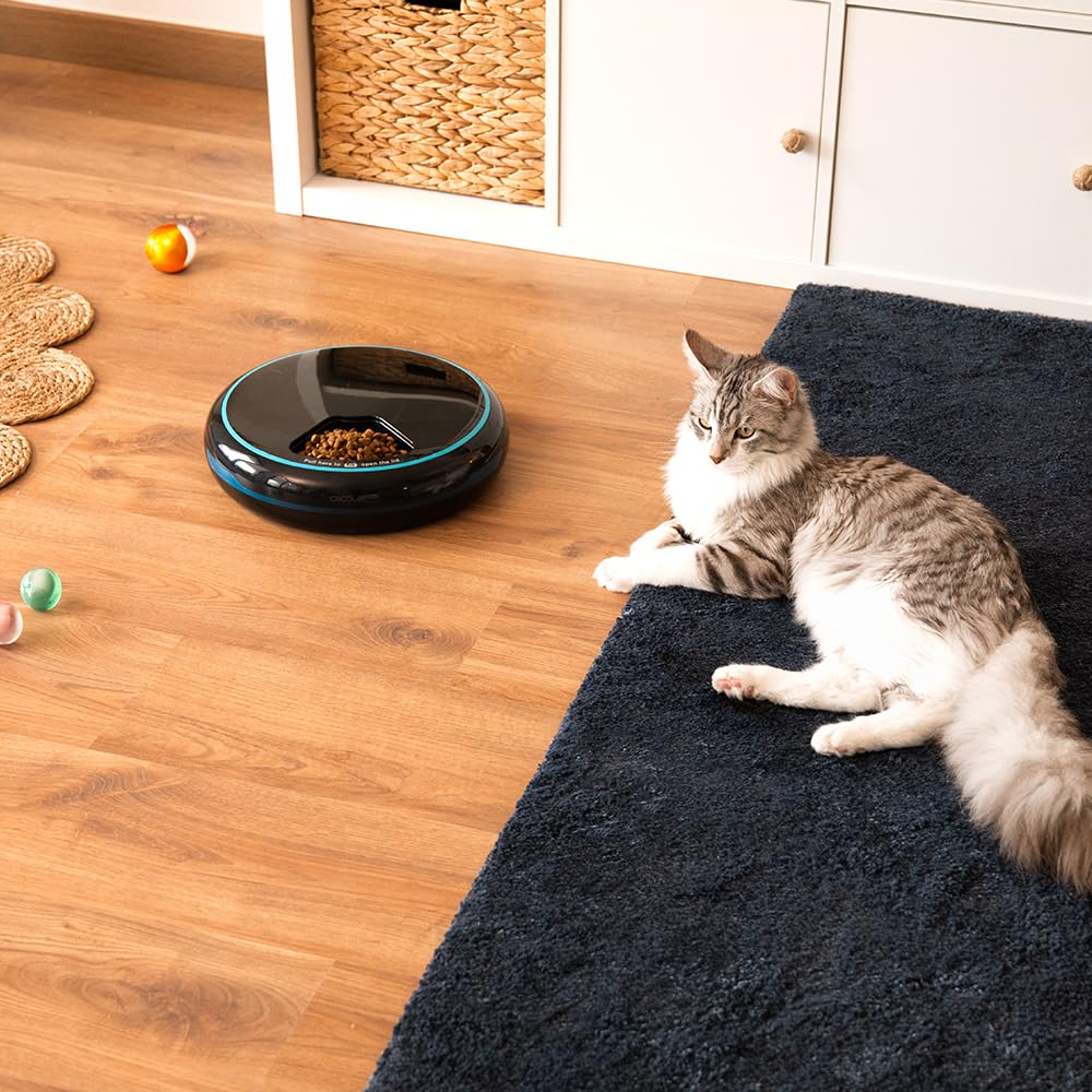 Cecotec Mangiatoia Dispenser automatico per alimenti per animali Pumba 1600 Purrfect Meal. Capacità di 1,6 l, 4 sezioni indipendenti, display LED, timer e registratore vocale