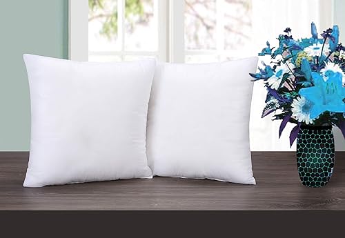 Ramanta Home Relleno de almohada (16 x 16 pulgadas, juego de 2)  Relleno de almohada blanco de primera calidad para sofá y cama