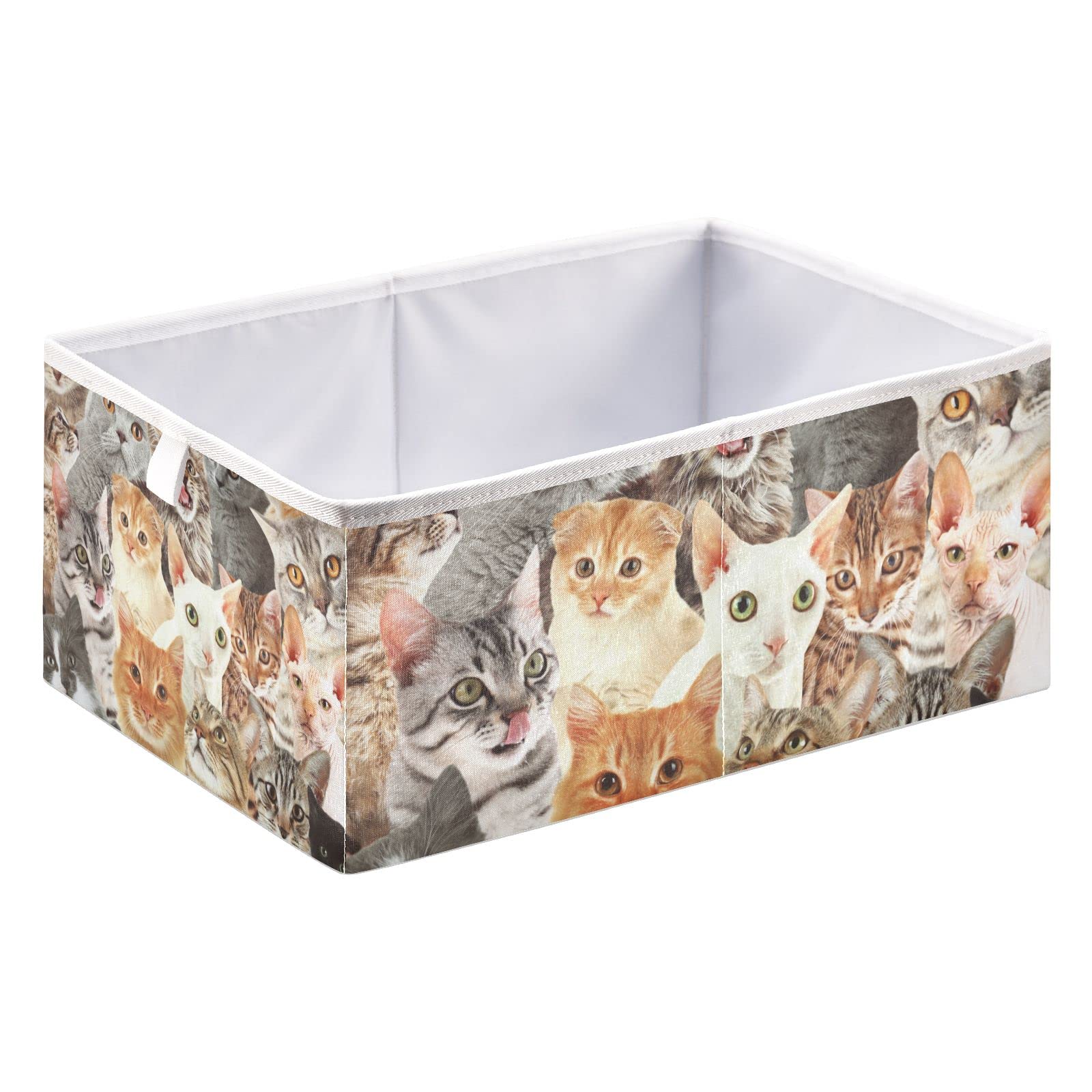 Bacs de rangement pliables pour chat - Cube de rangement pour animaux domestiques Bacs de rangement pliables pour chat - Cube de rangement pour animaux domestiques