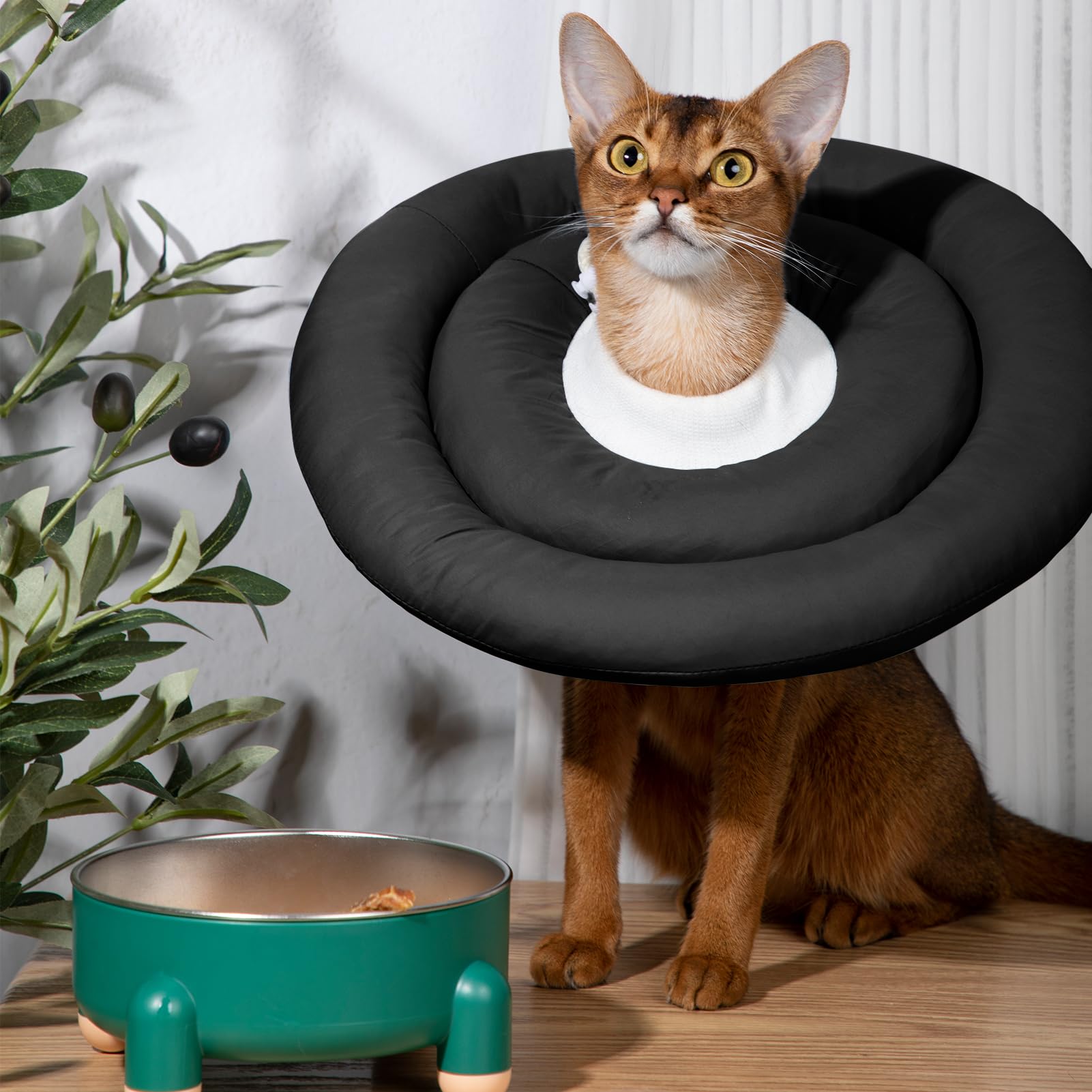 Comfortable Adjustable Soft Dog Cone Alternative - After Surgery Recovery Collar for Small Dogs & Cats - Different