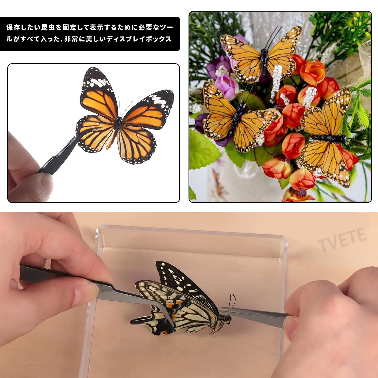 Amazon | TVETE 標本ツール 蝶 昆虫 標本キット 【7点セット】再利用