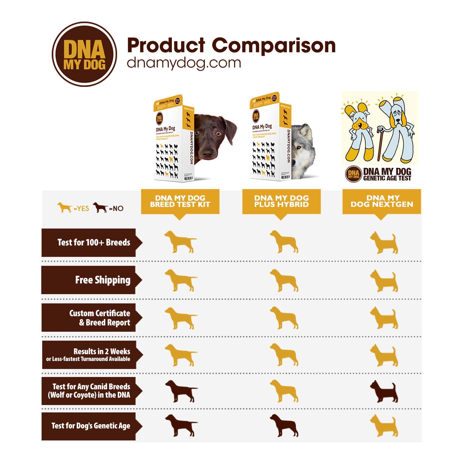 dna my dog test kit