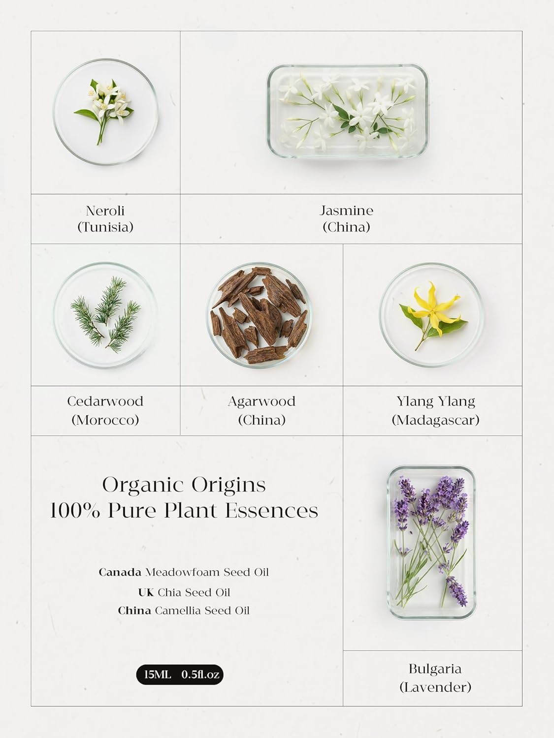 Water Essential Oil Roller, Essential Oil forDeep Sleep and Anxiety Relief, Therapeutic Grade Aromatherapy Blend with Lavender + Neroli+ Cedarwood+Jasmine+ Sandalwood, Floral Aroma - Image 4