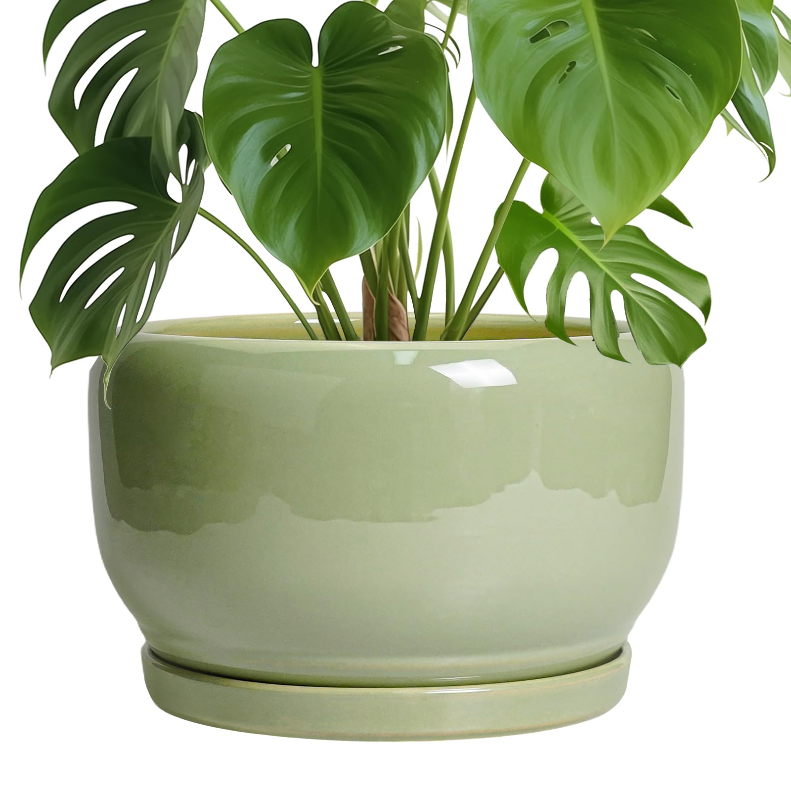 SQOWL Ceramic Planter - 10 Inch Pot for Plants Indoor Outdoor, Round Modern Flower Pot with Drainage Hole and Saucer, Decorative Large Planter, Office Decor, Plant Lovers Gifts, Green
