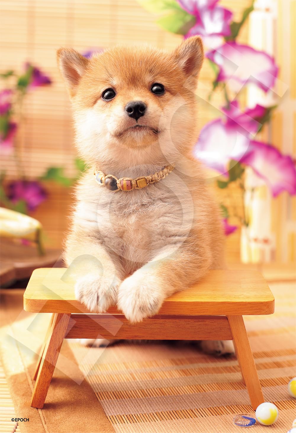 Amazon | エポック社（EPOCH） 300ピース ジグソーパズル いきもの